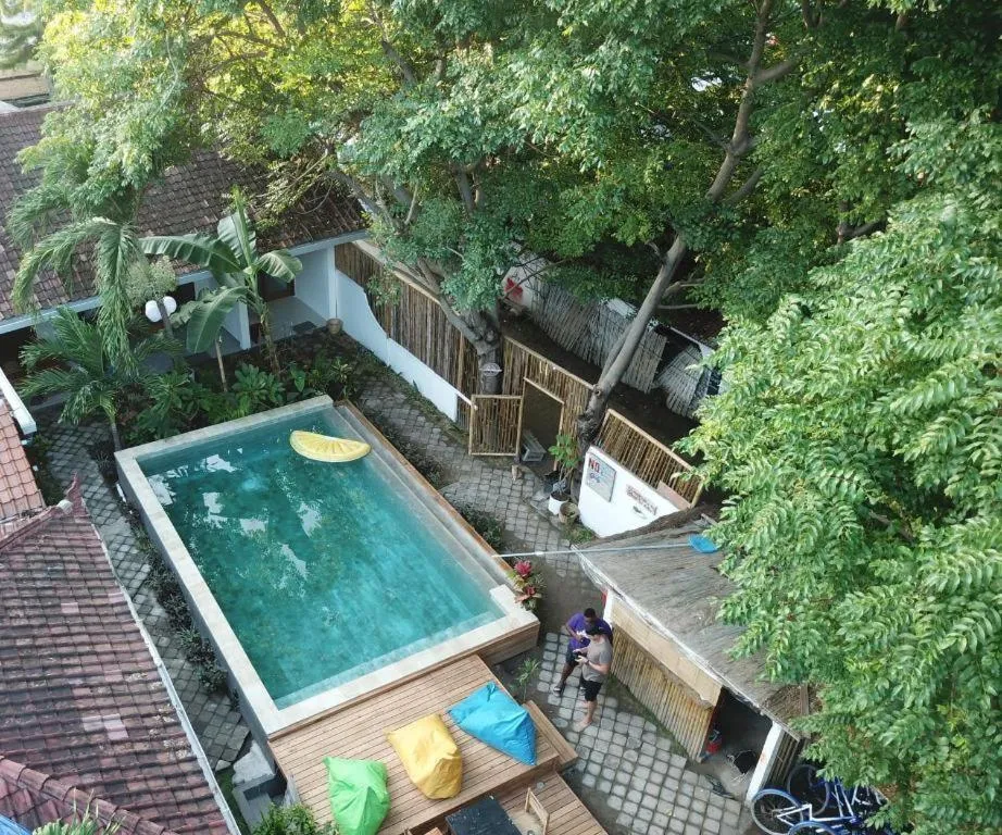 Garden view in Dream Hotel