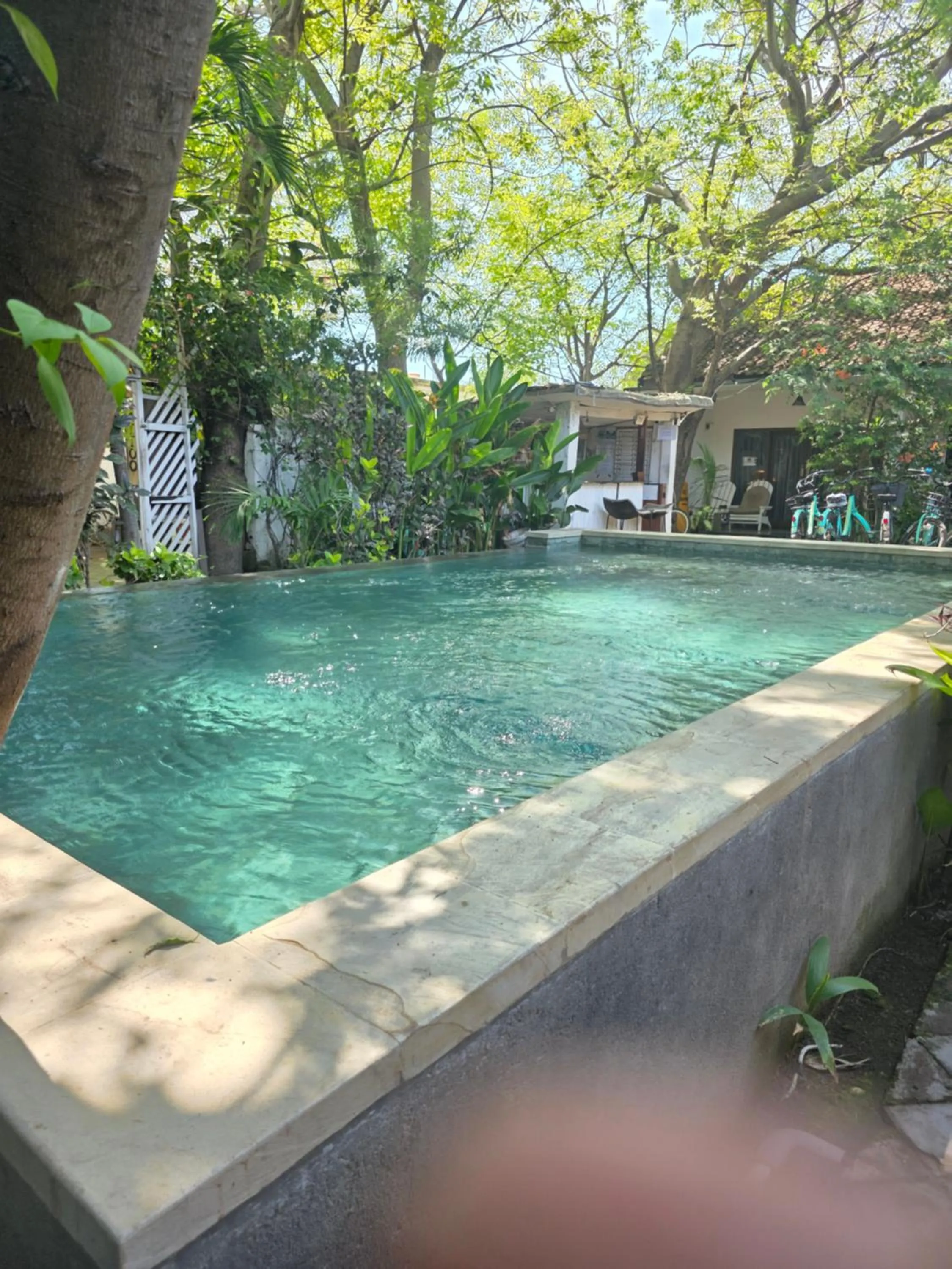 Pool view in Dream Hotel
