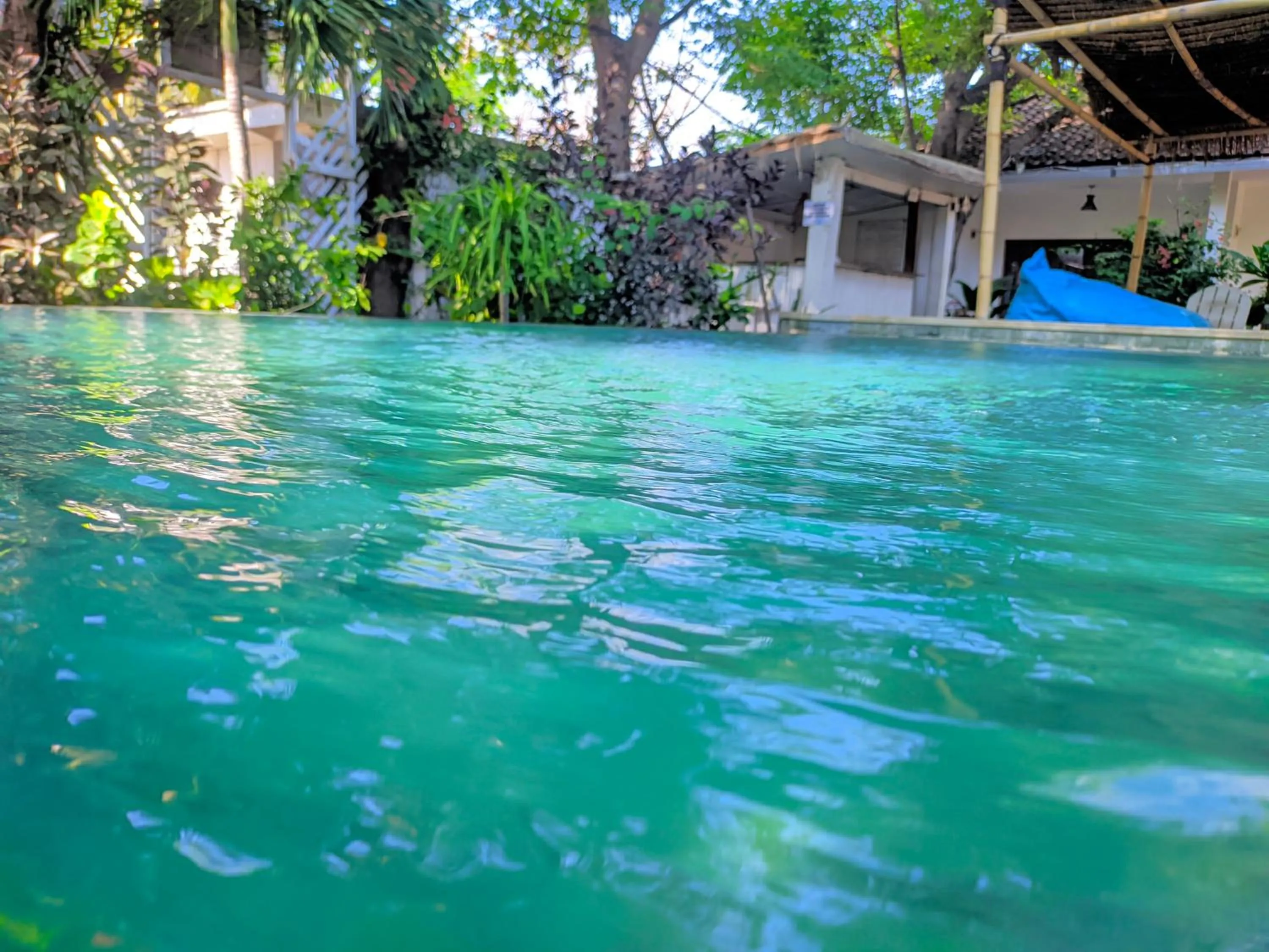 Spring in Dream Hotel