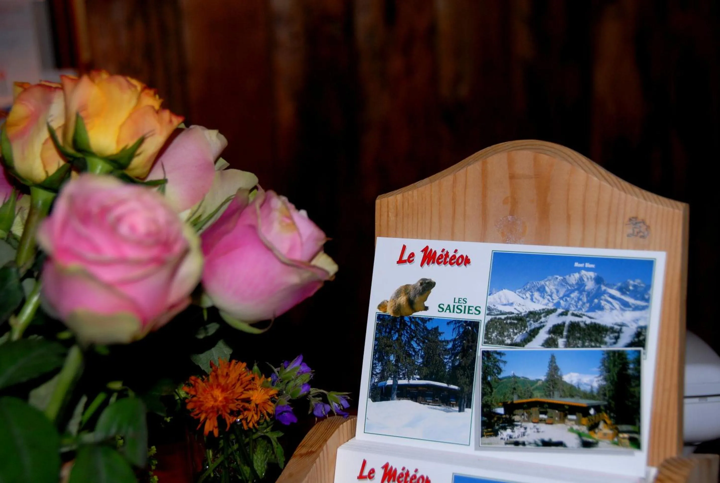 Other in Hôtel Chalet Le Caribou