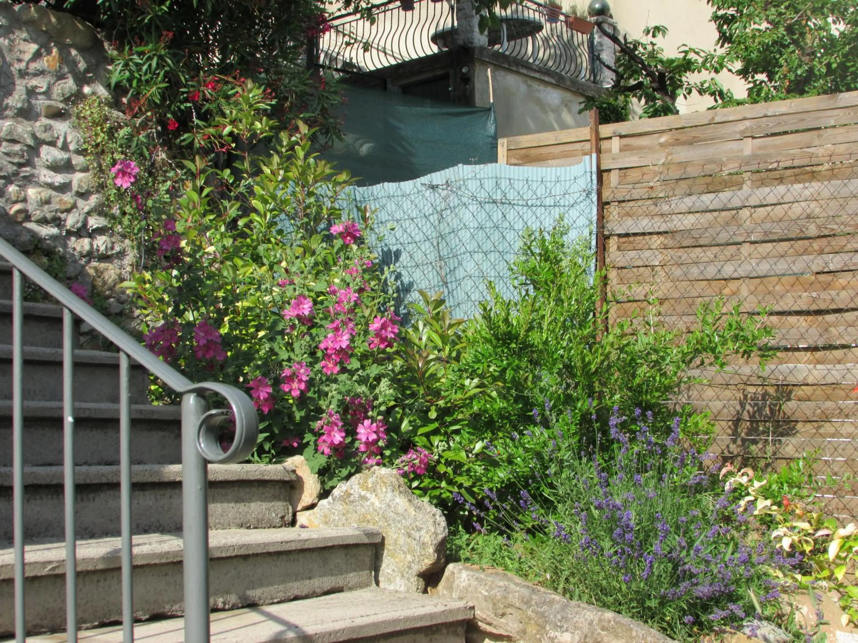 Day in La Bastide Des Senteurs