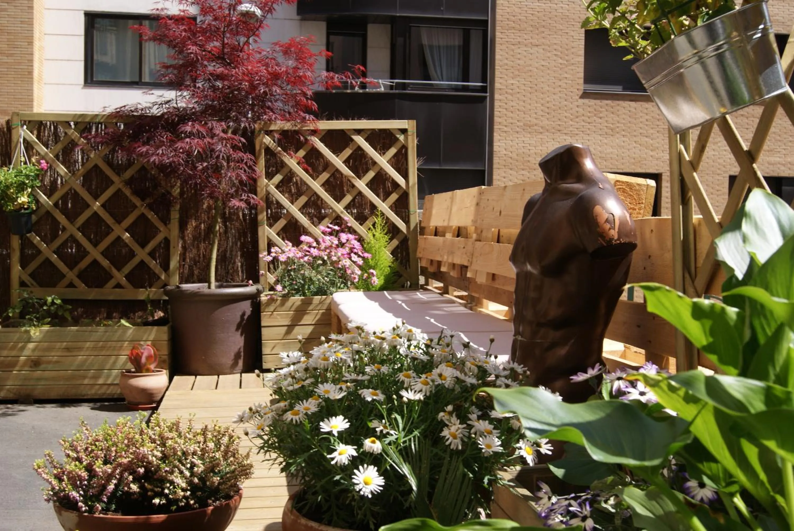 Garden in Aloha Hostel