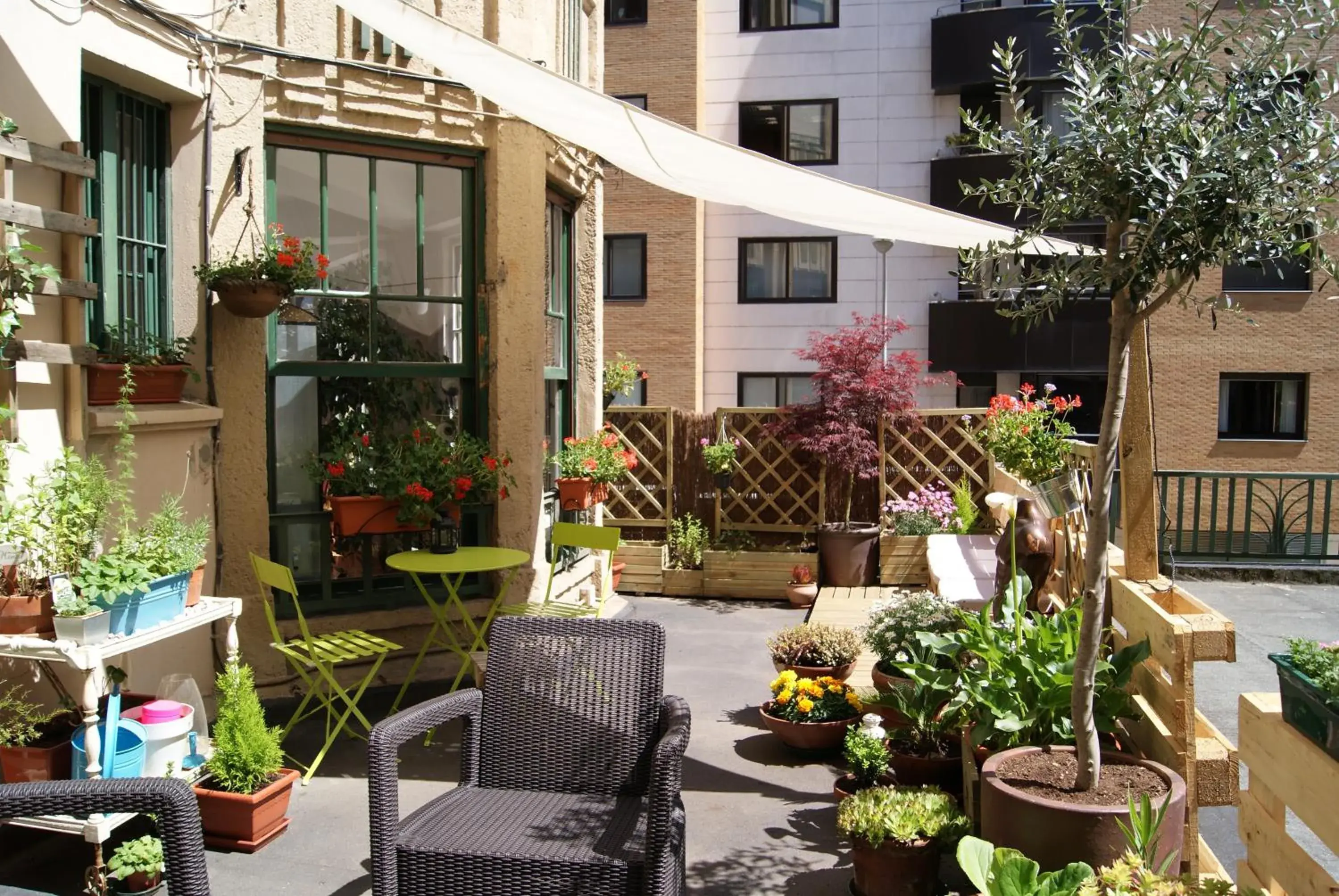 Aloha Hostel Aloha Hostel