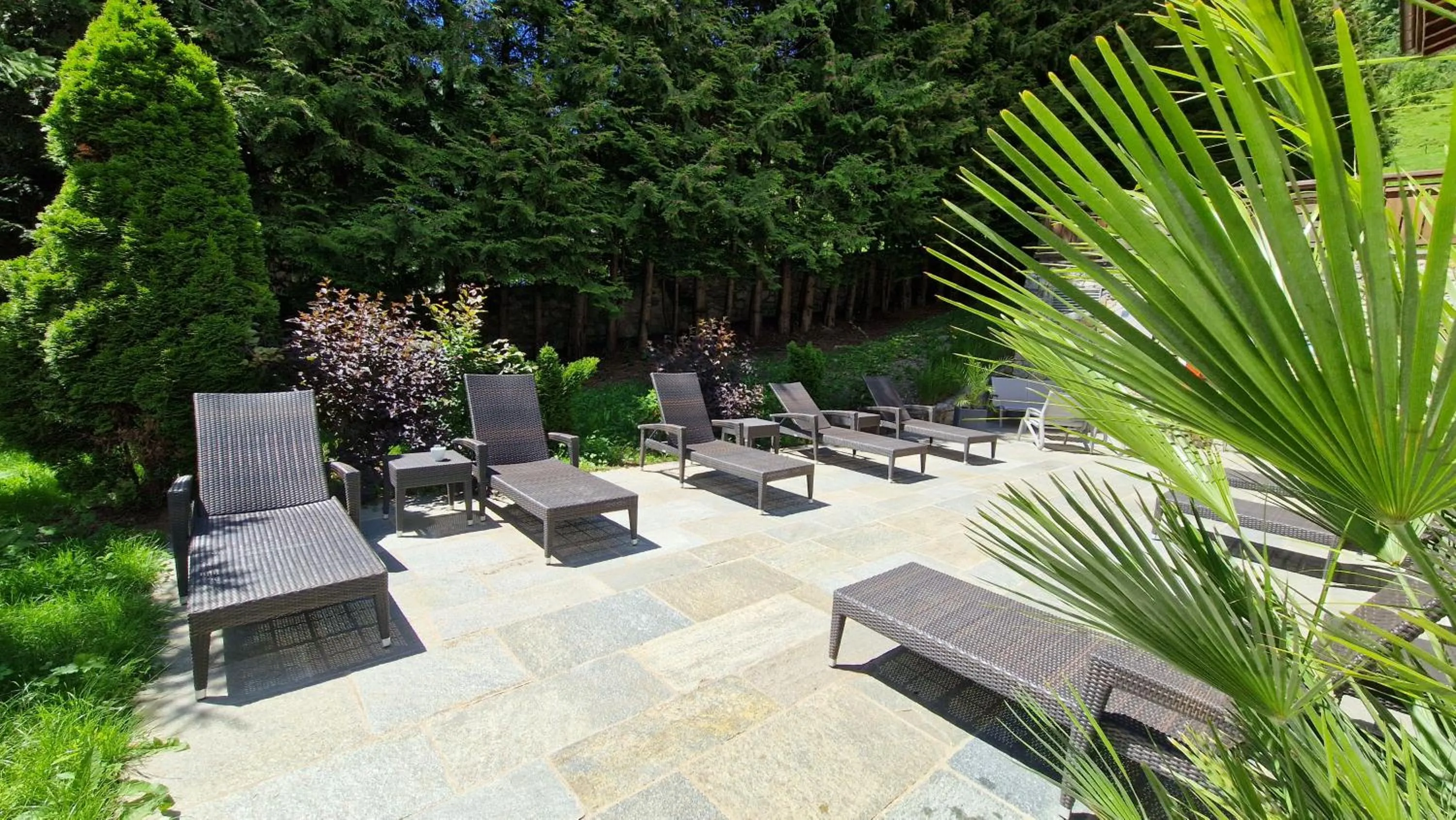 Summer in Hotel Alpen Roc