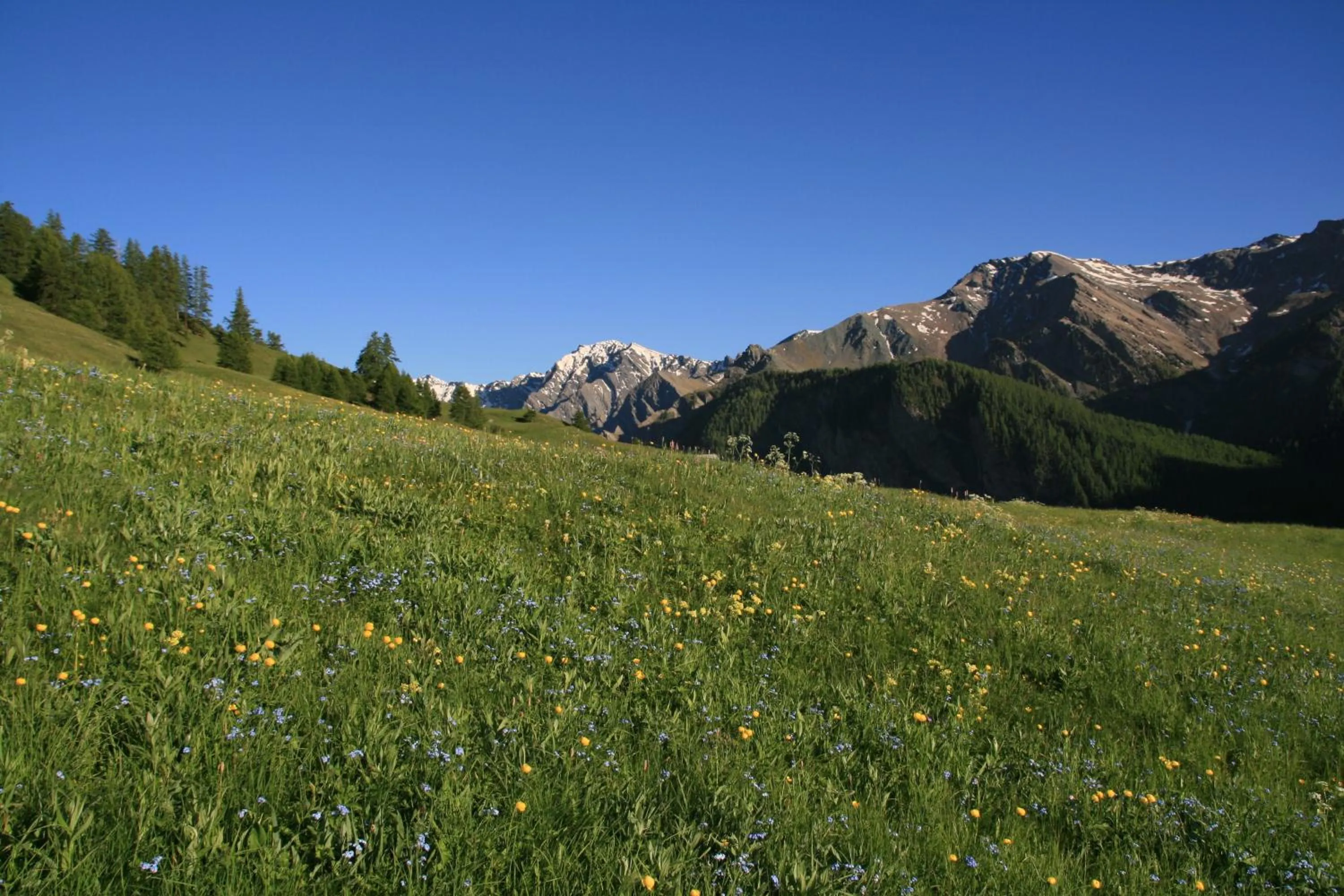 Property building in Les Chalets du Villard