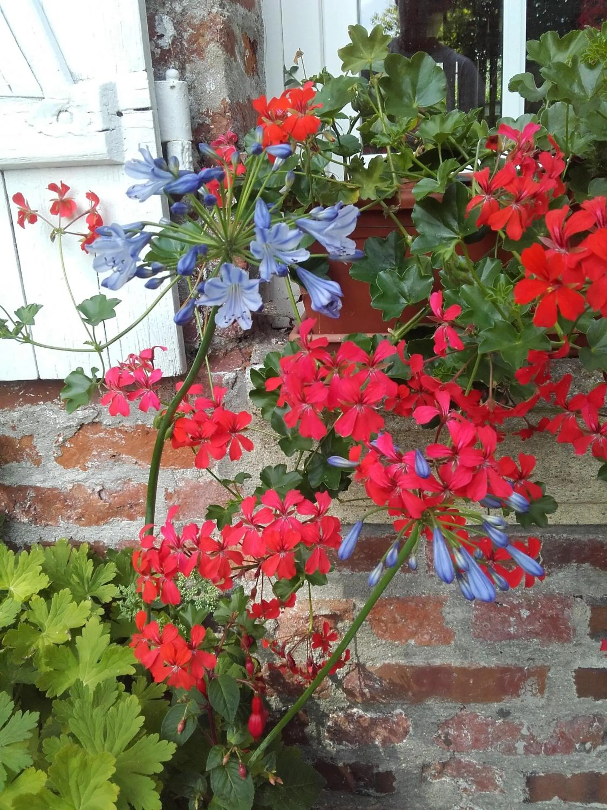 Chambres d'hôtes Manoir du Buquet