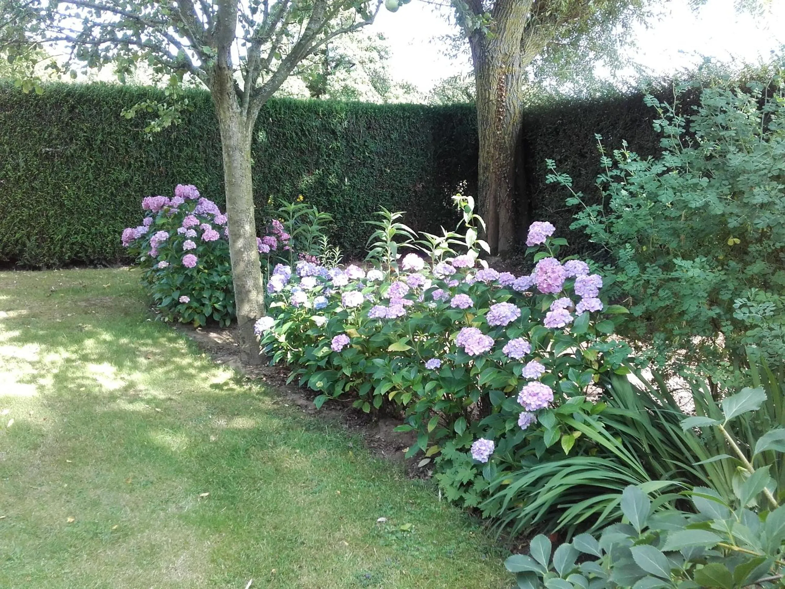Garden in Chambres d'hôtes Manoir du Buquet
