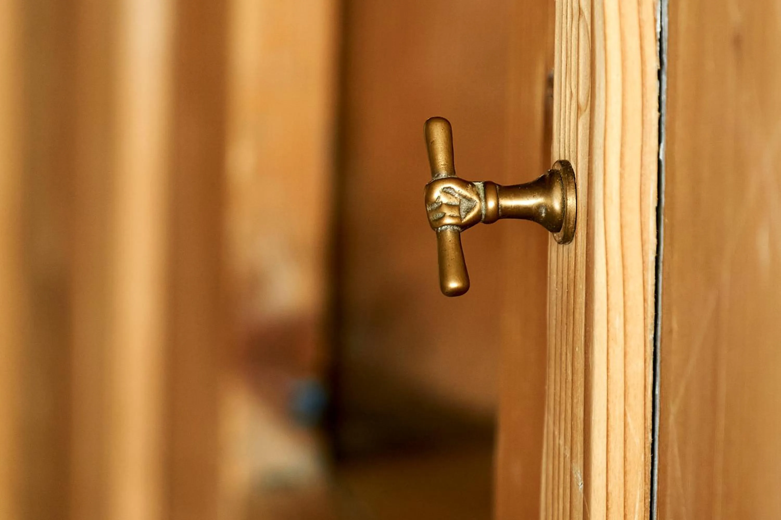 Decorative detail in UNSER VORSÄSS - Geißkopf