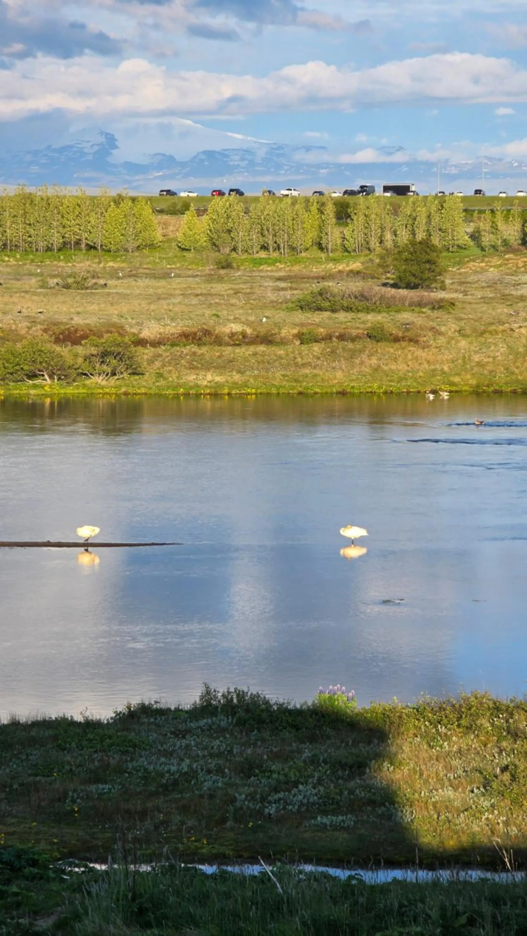 Natural landscape in Riverfront Lodge Hella