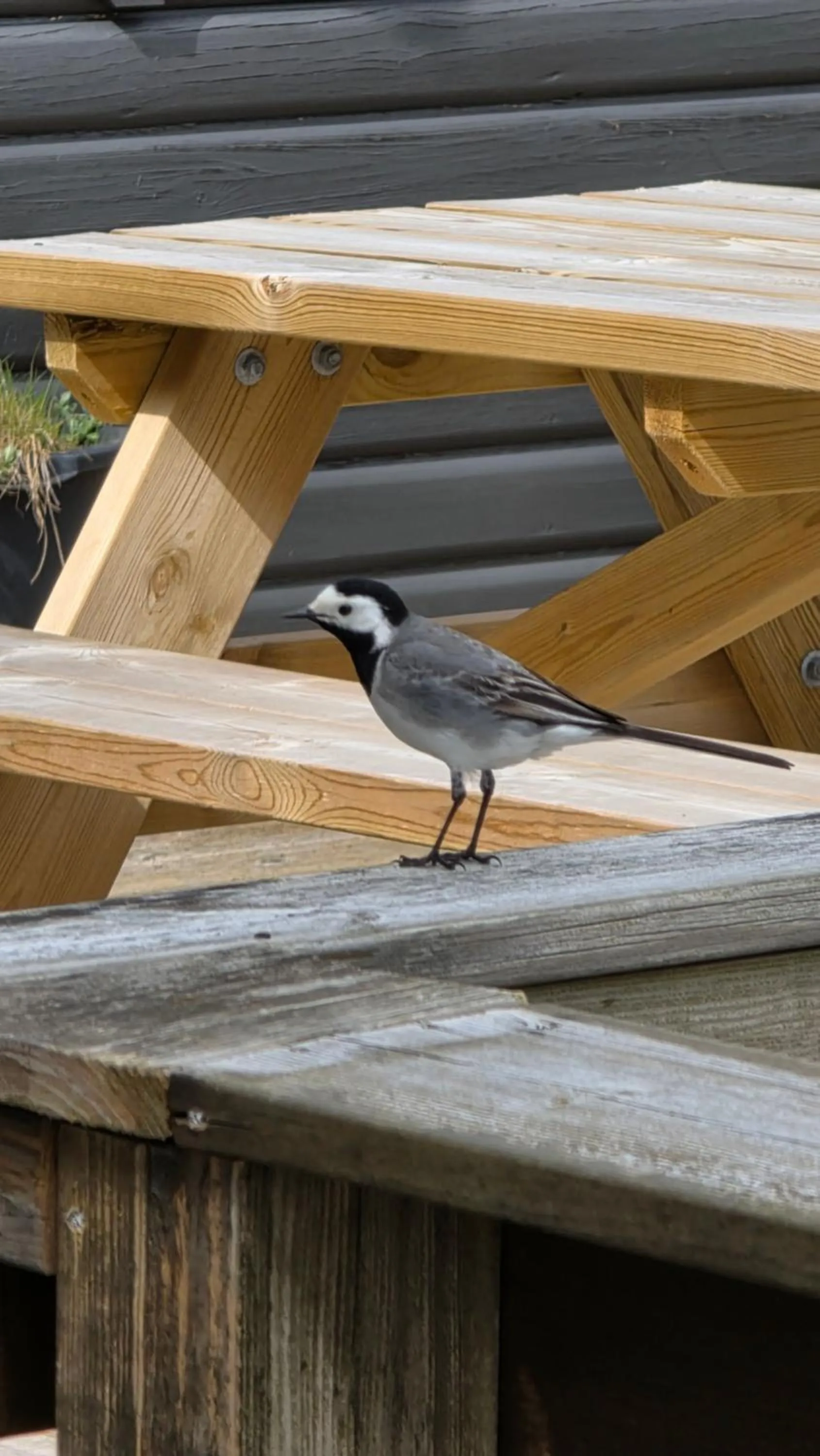 Property building in Riverfront Lodge Hella