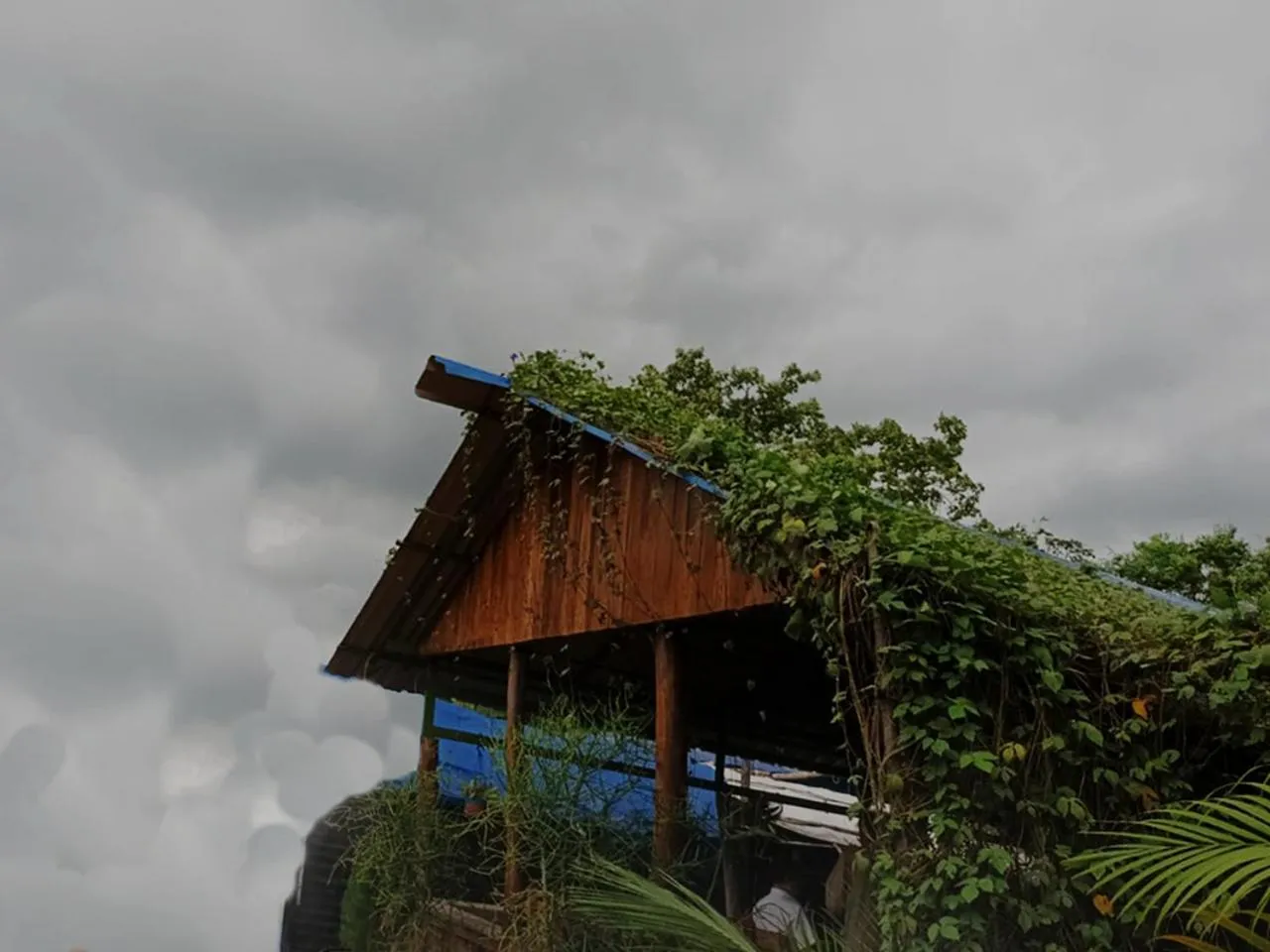 Restaurant/places to eat in Panchobon Art Resort