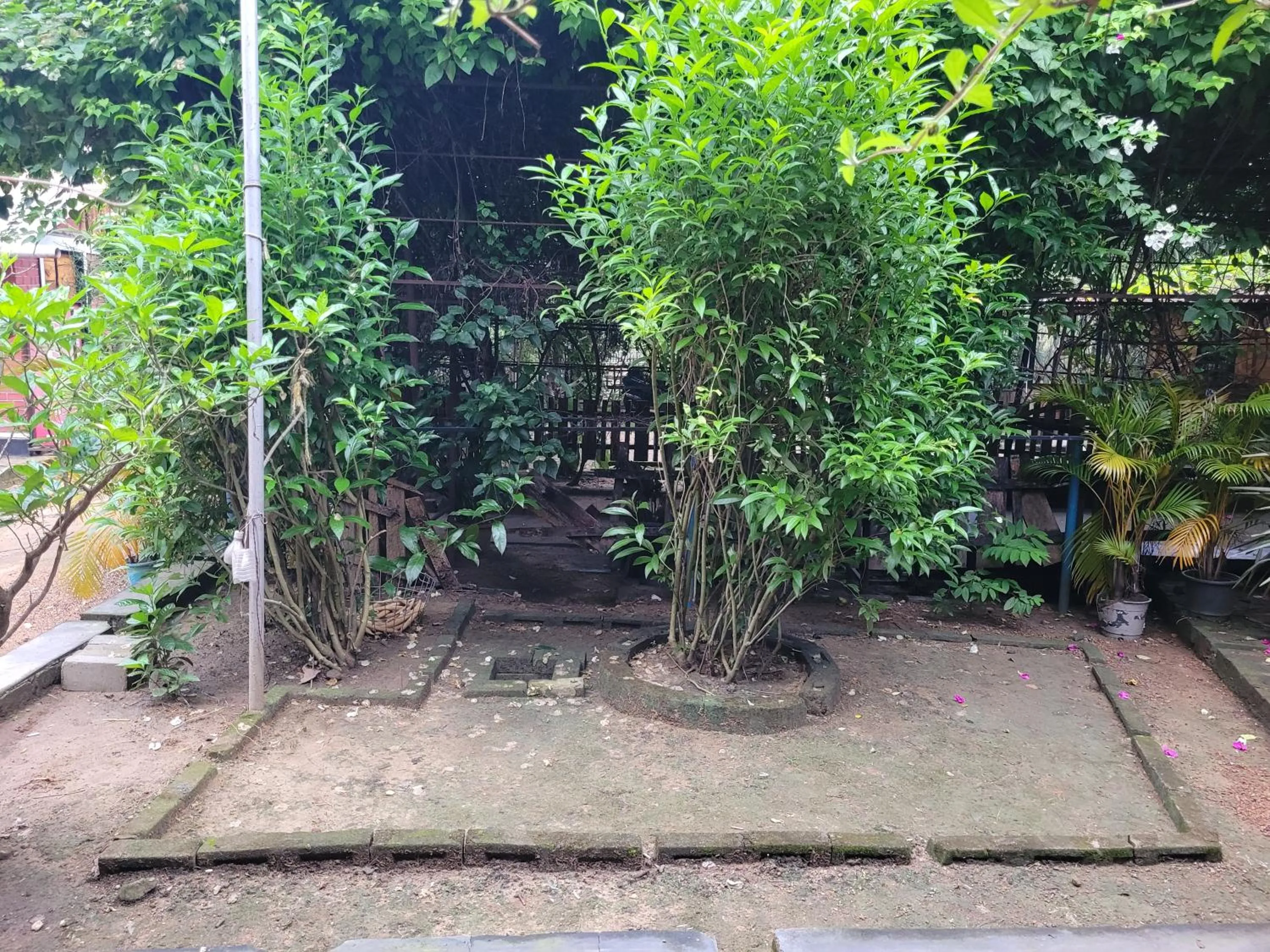 Garden view in Panchobon Art Resort