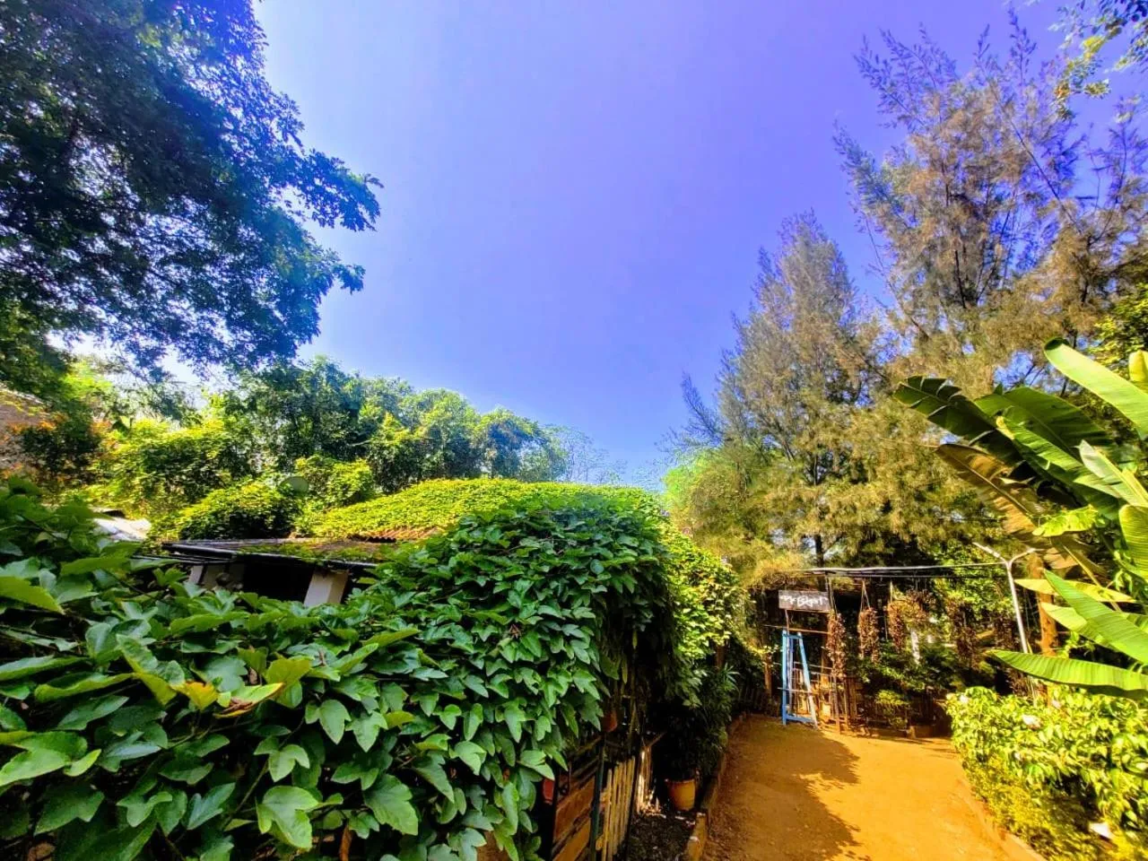 Garden view in Panchobon Art Resort