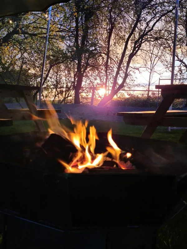 Natural landscape in Five Bells Wickham