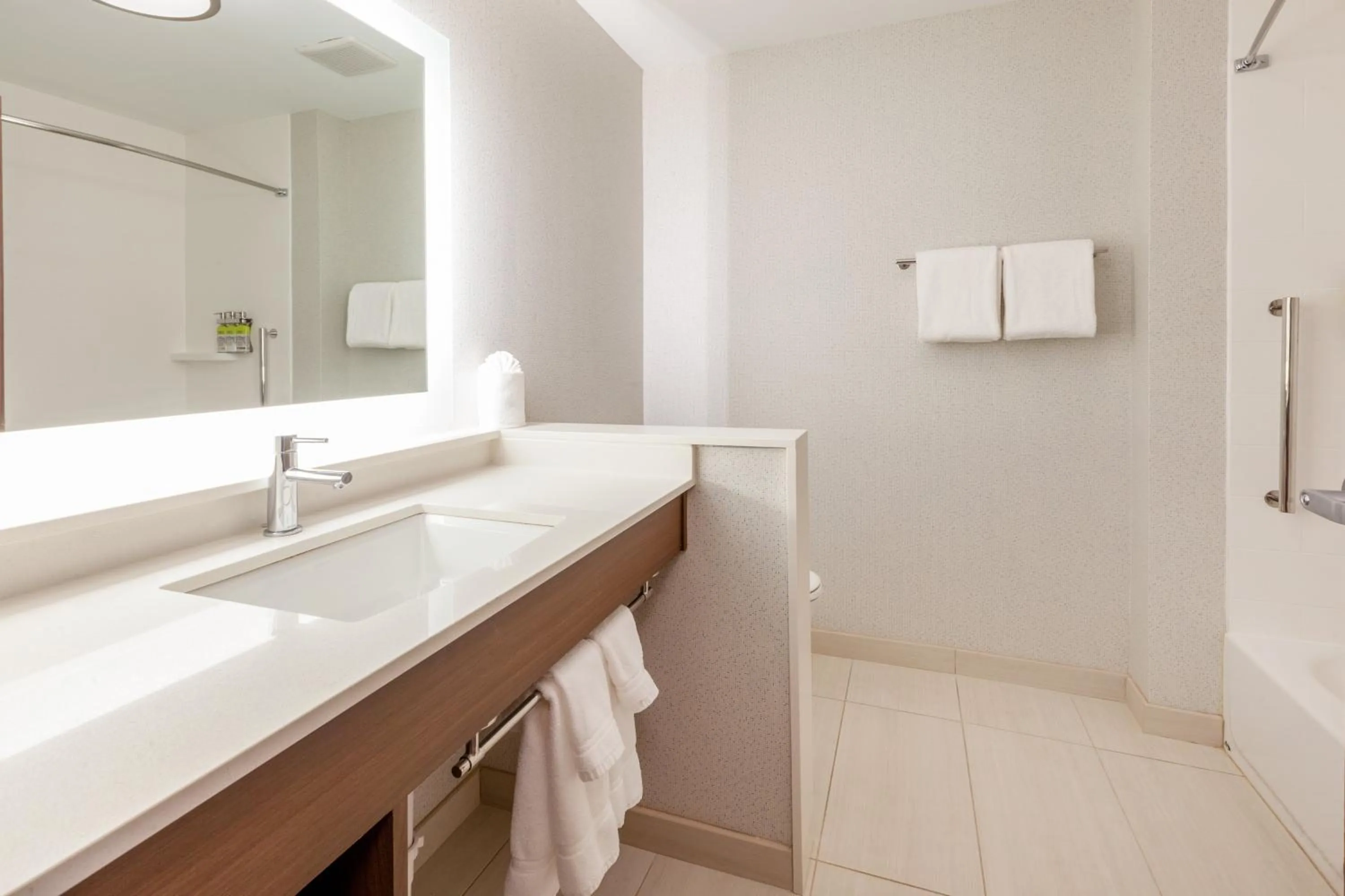 Bathroom in Holiday Inn Express & Suites Brunswick-Harpers Ferry Area by IHG