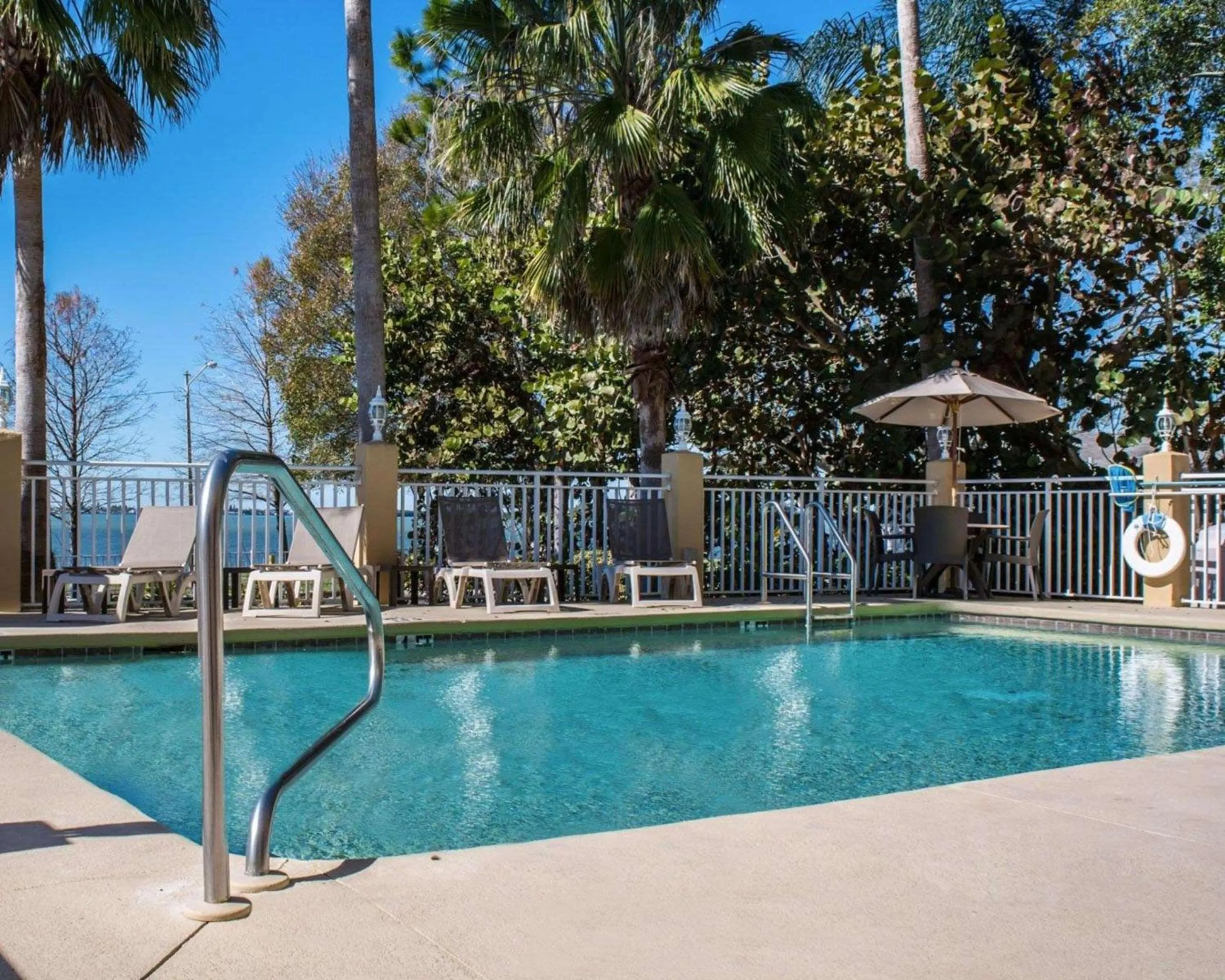 Swimming pool in Comfort Suites Clearwater - Dunedin
