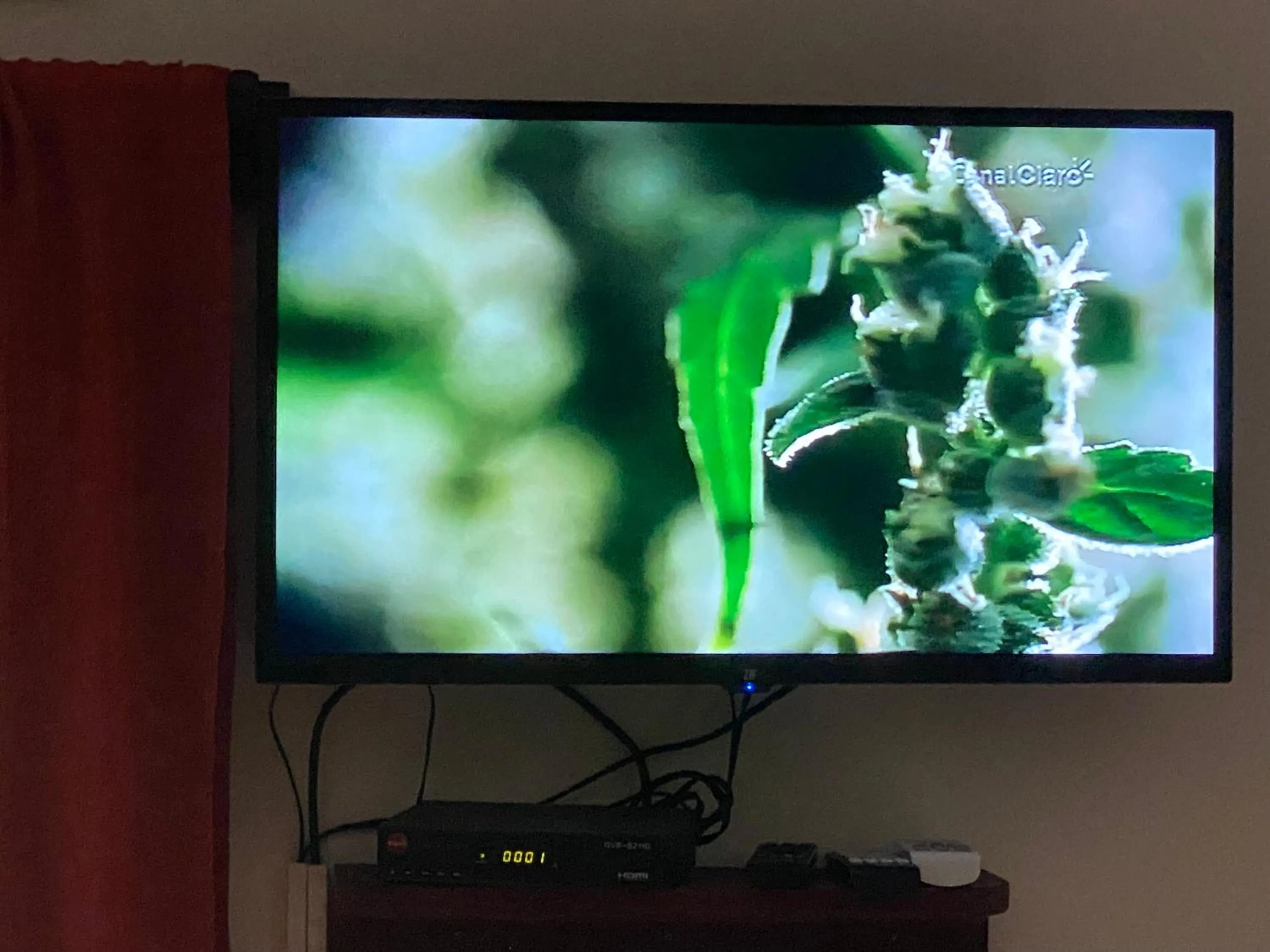 TV and multimedia in Hotel Casa Vito Beachfront