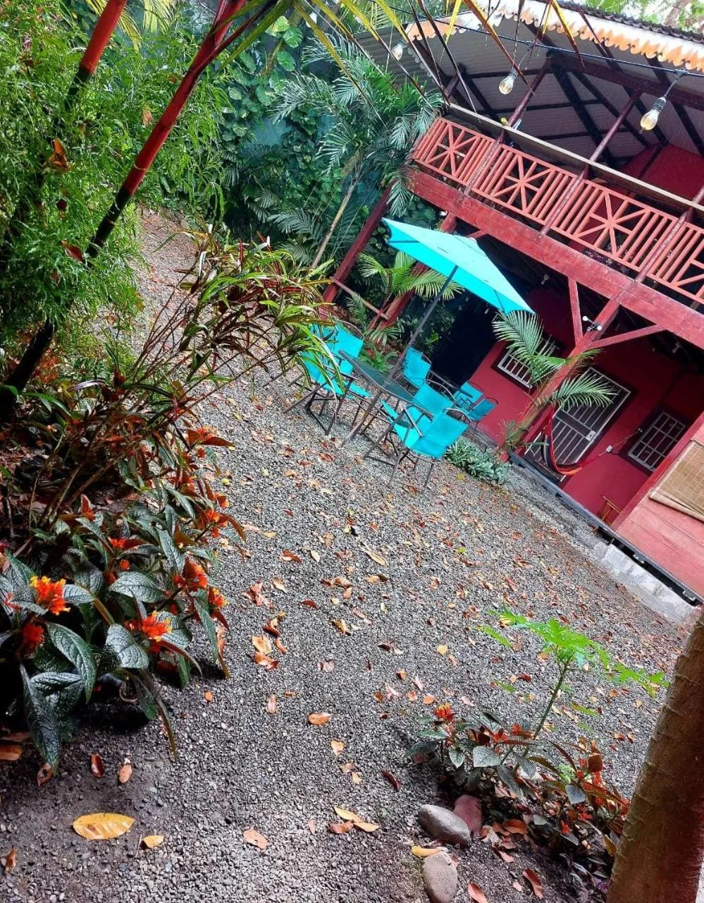 Garden in Hotel Casa Vito Beachfront