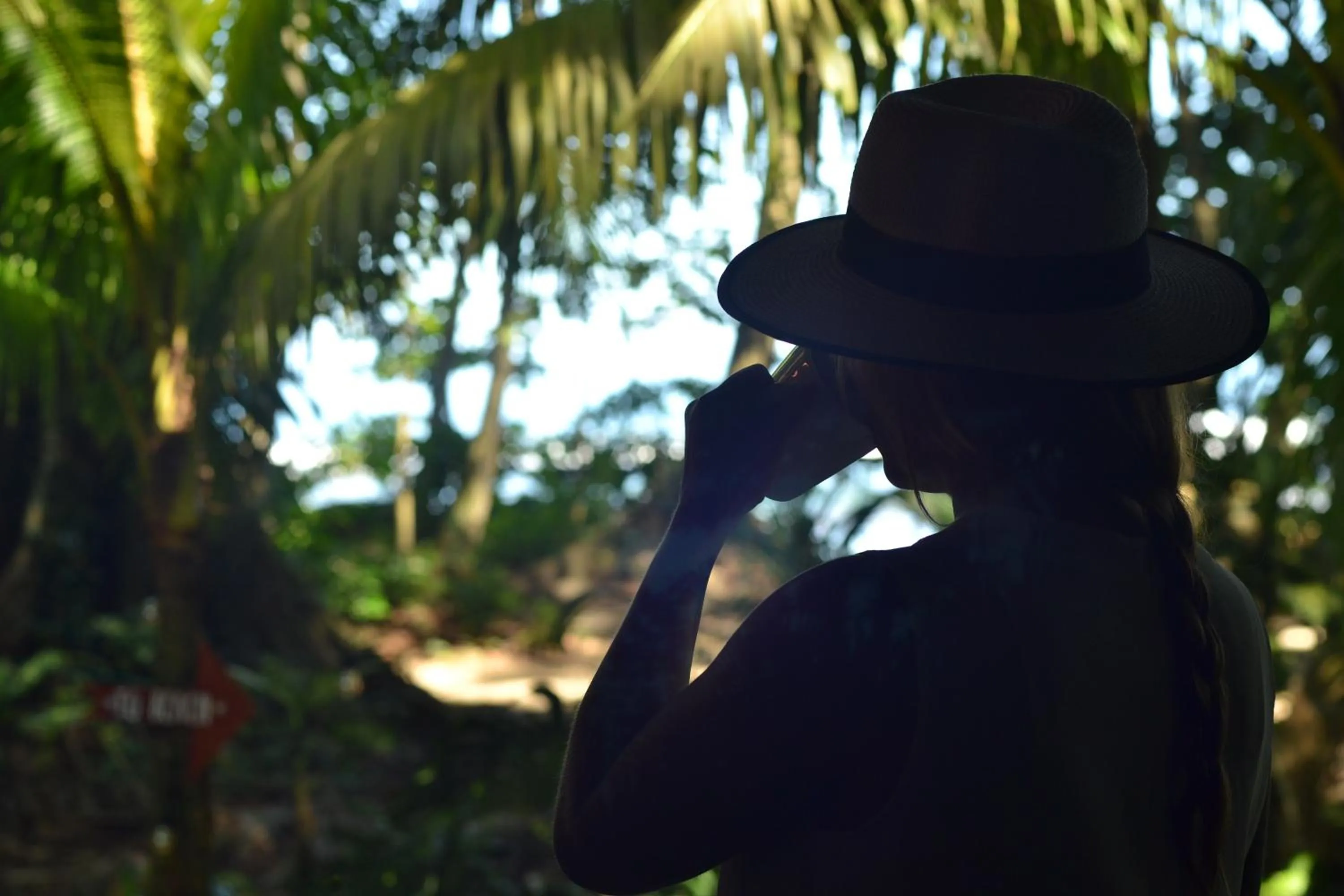 Garden view in Hotel Casa Vito Beachfront