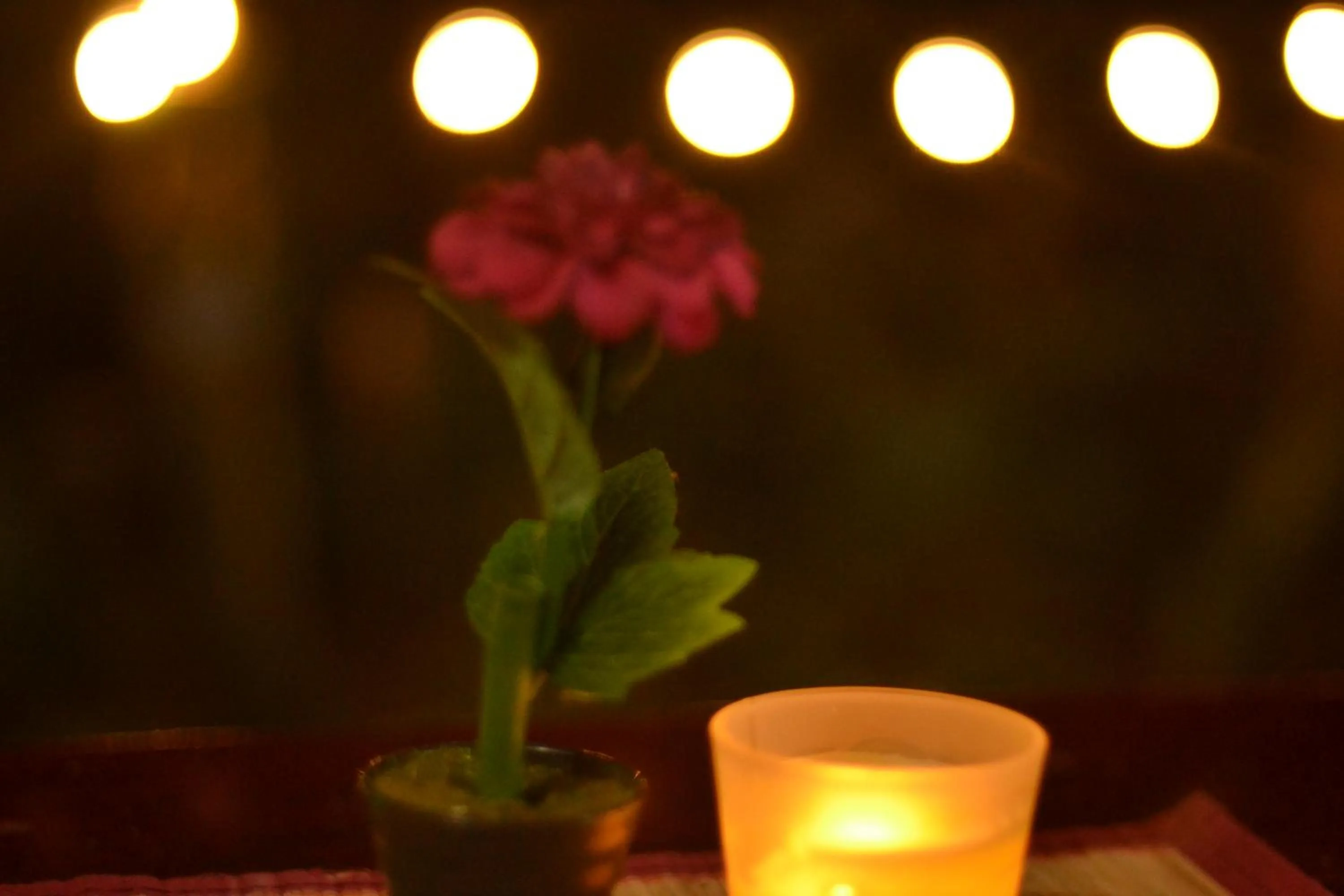 Night in Hotel Casa Vito Beachfront