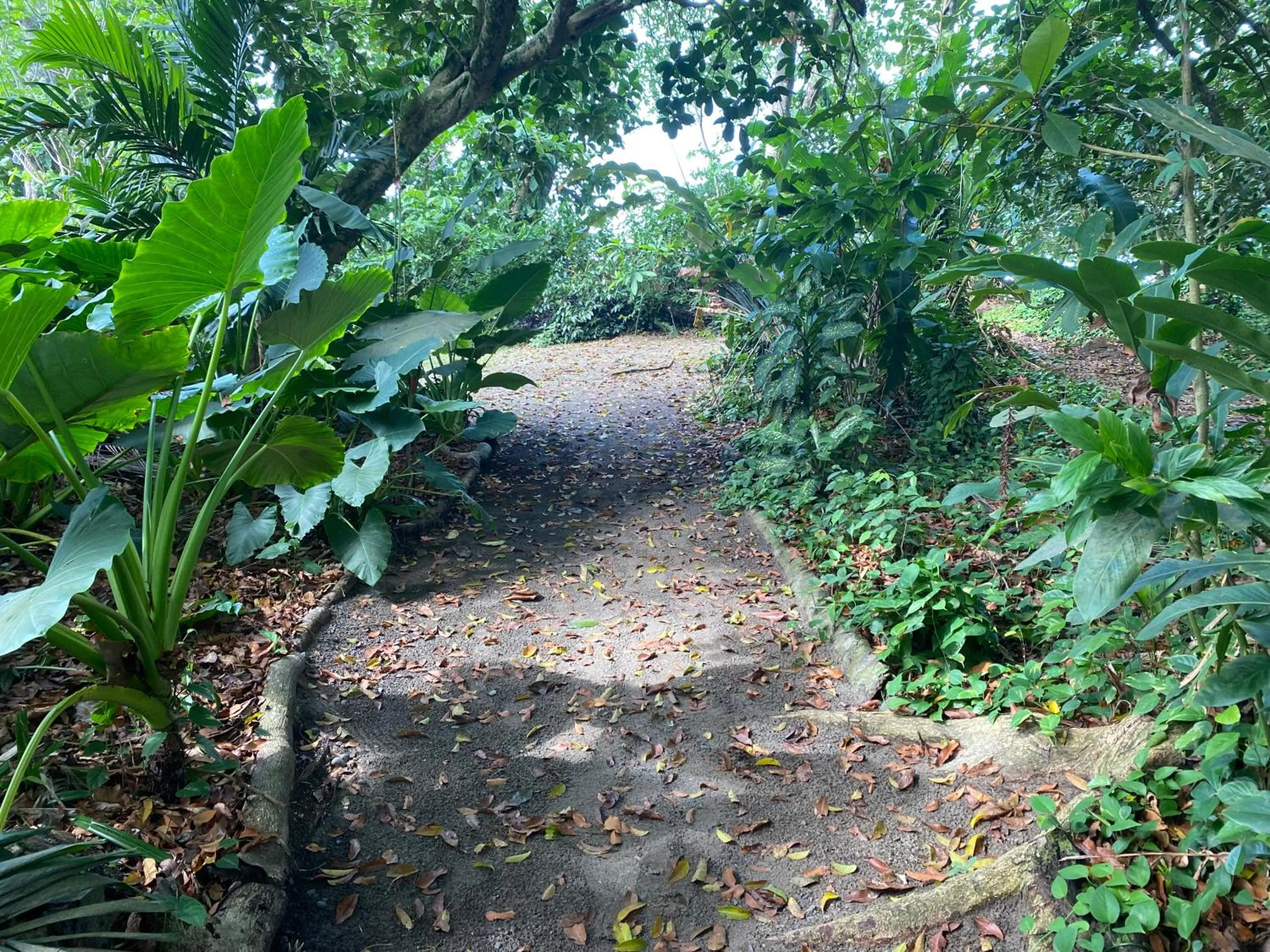 Natural landscape in Hotel Casa Vito Beachfront