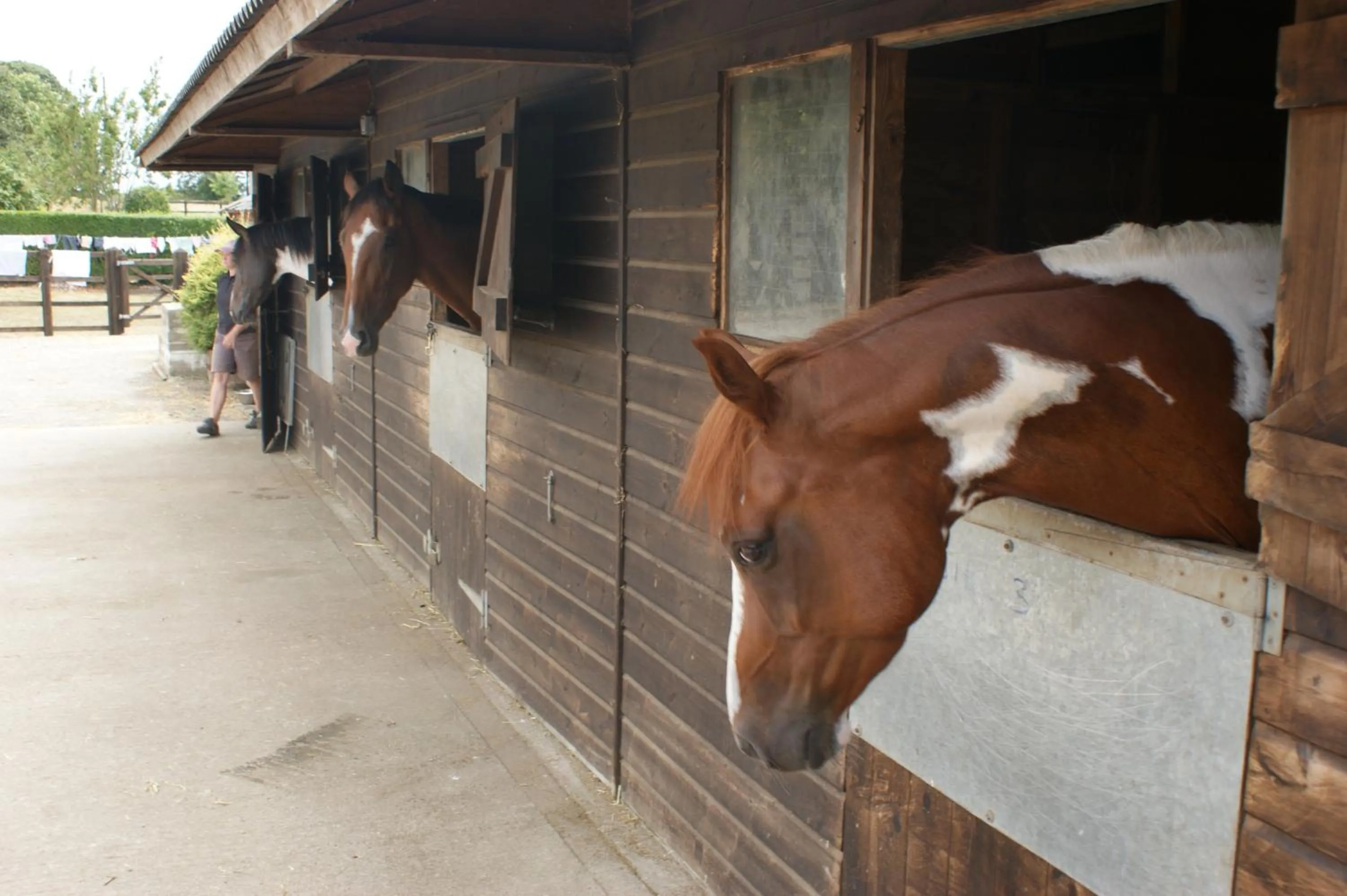 Day in Cary Fitzpaine House