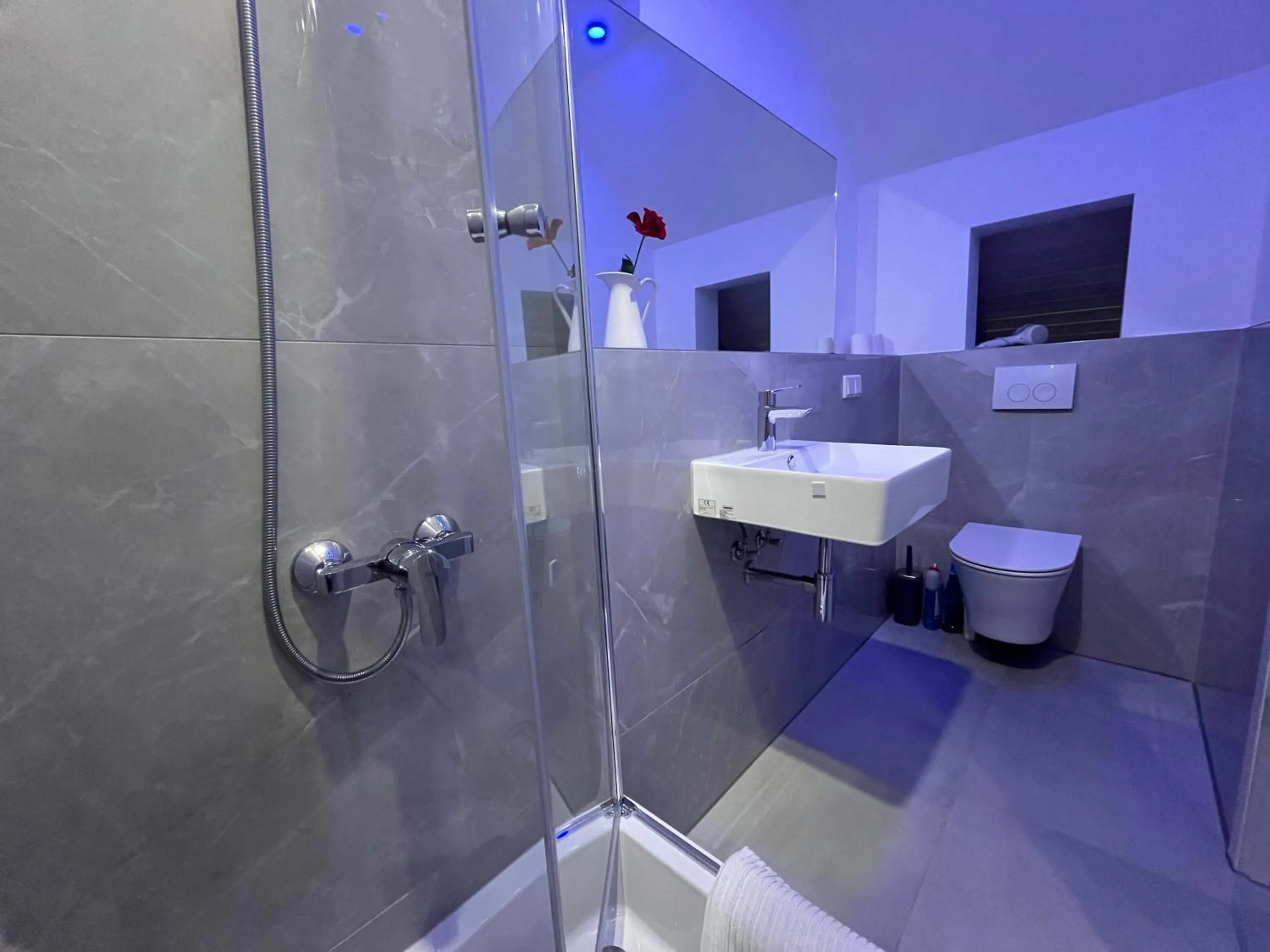 Shower in VILLA ORCHARD Frankfurt