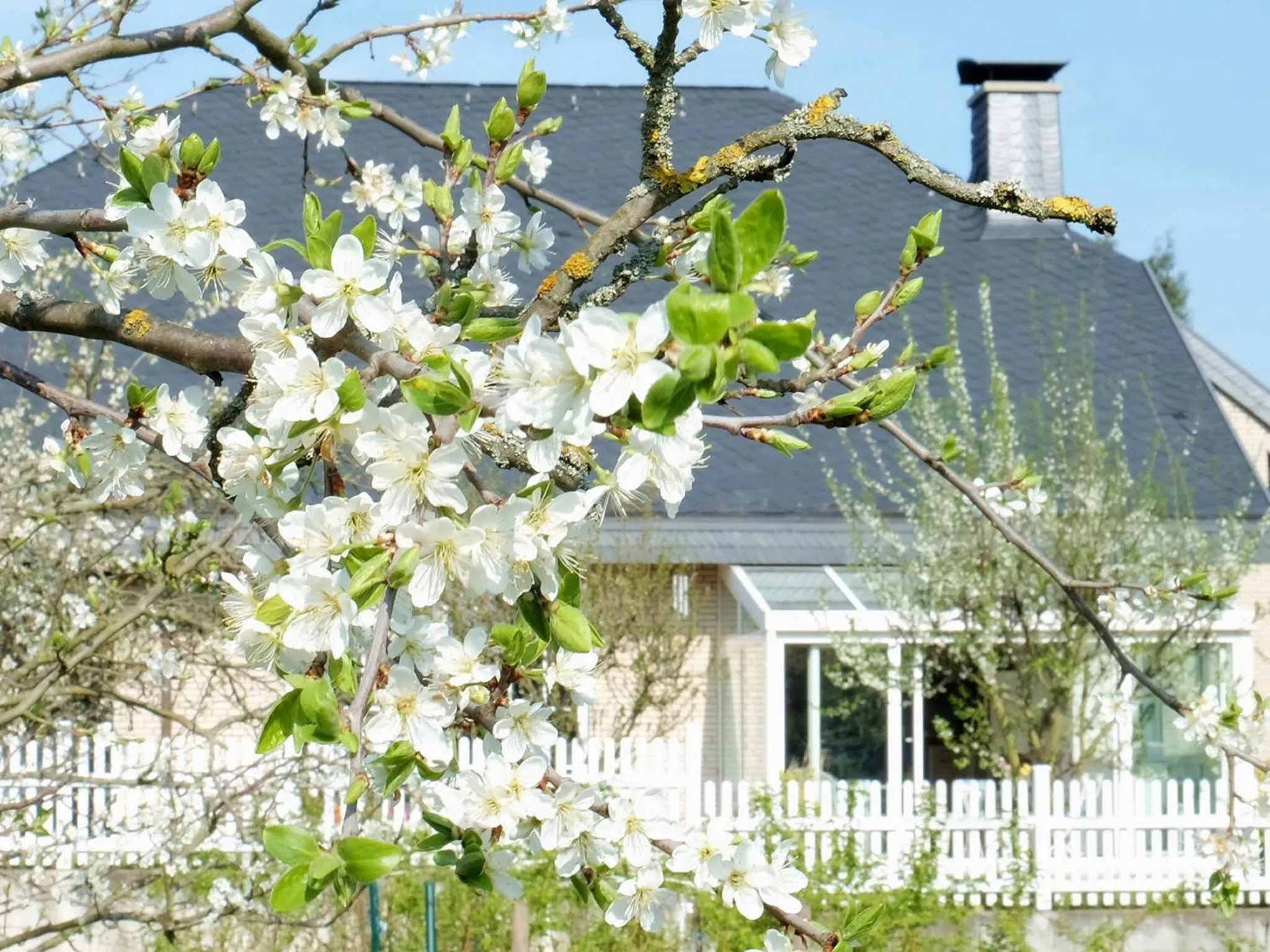 Facade/entrance in VILLA ORCHARD Frankfurt