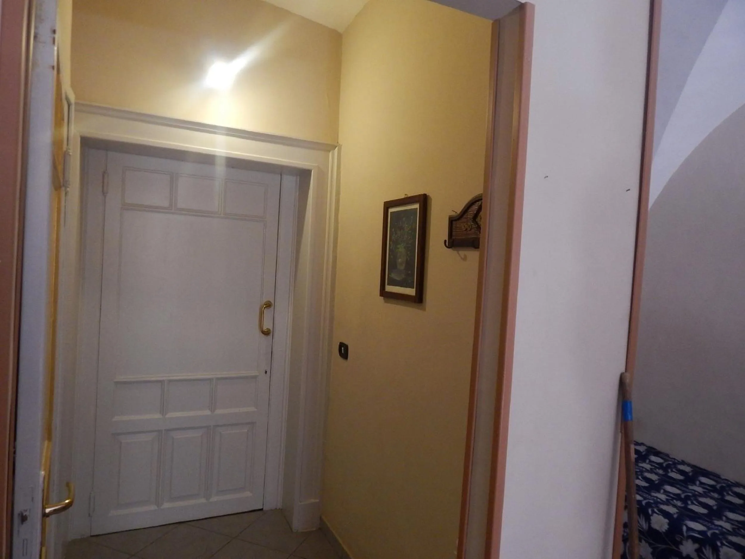 Photo of the whole room in Albatro Rooms