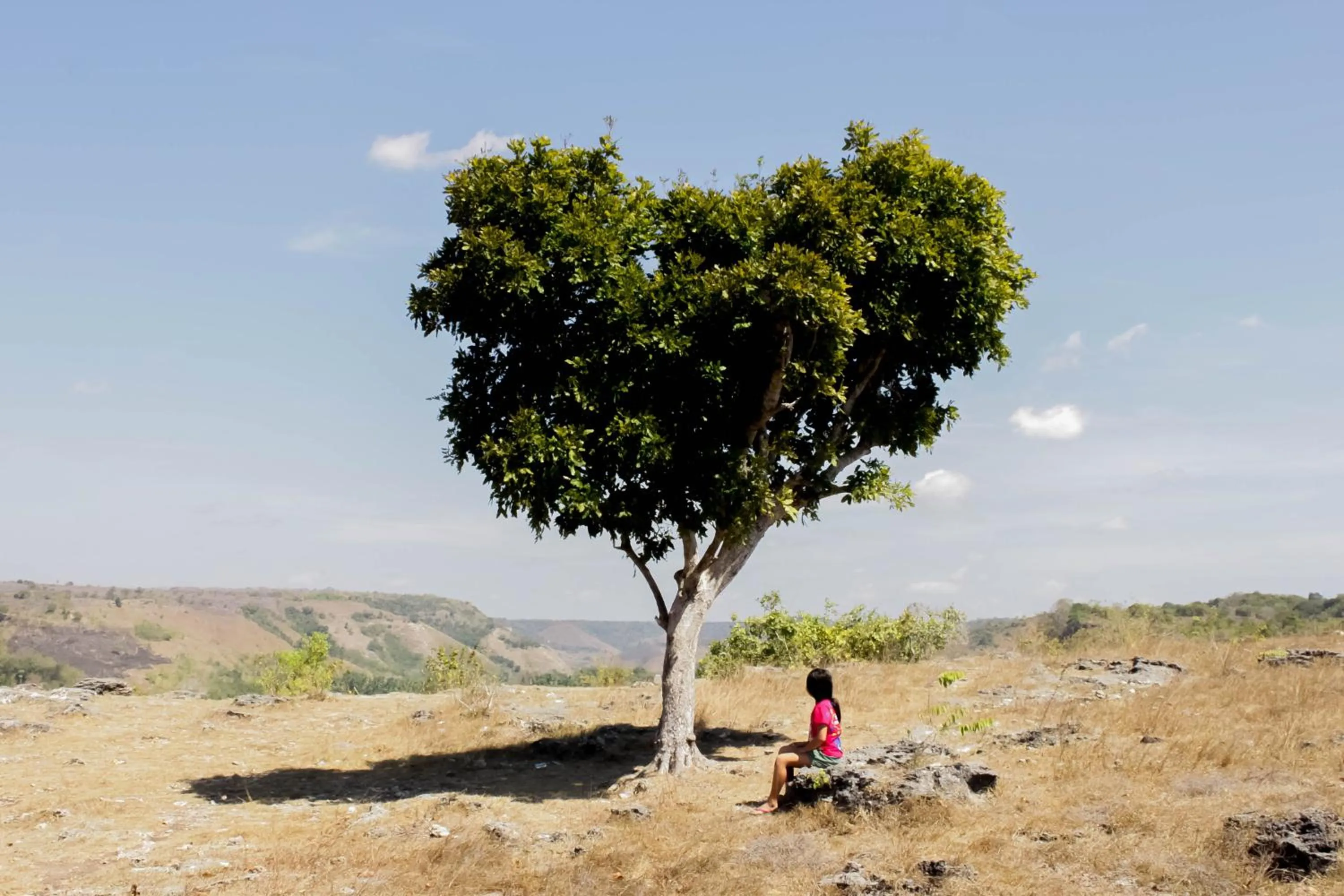 Other in Costa Beach Resort & Club