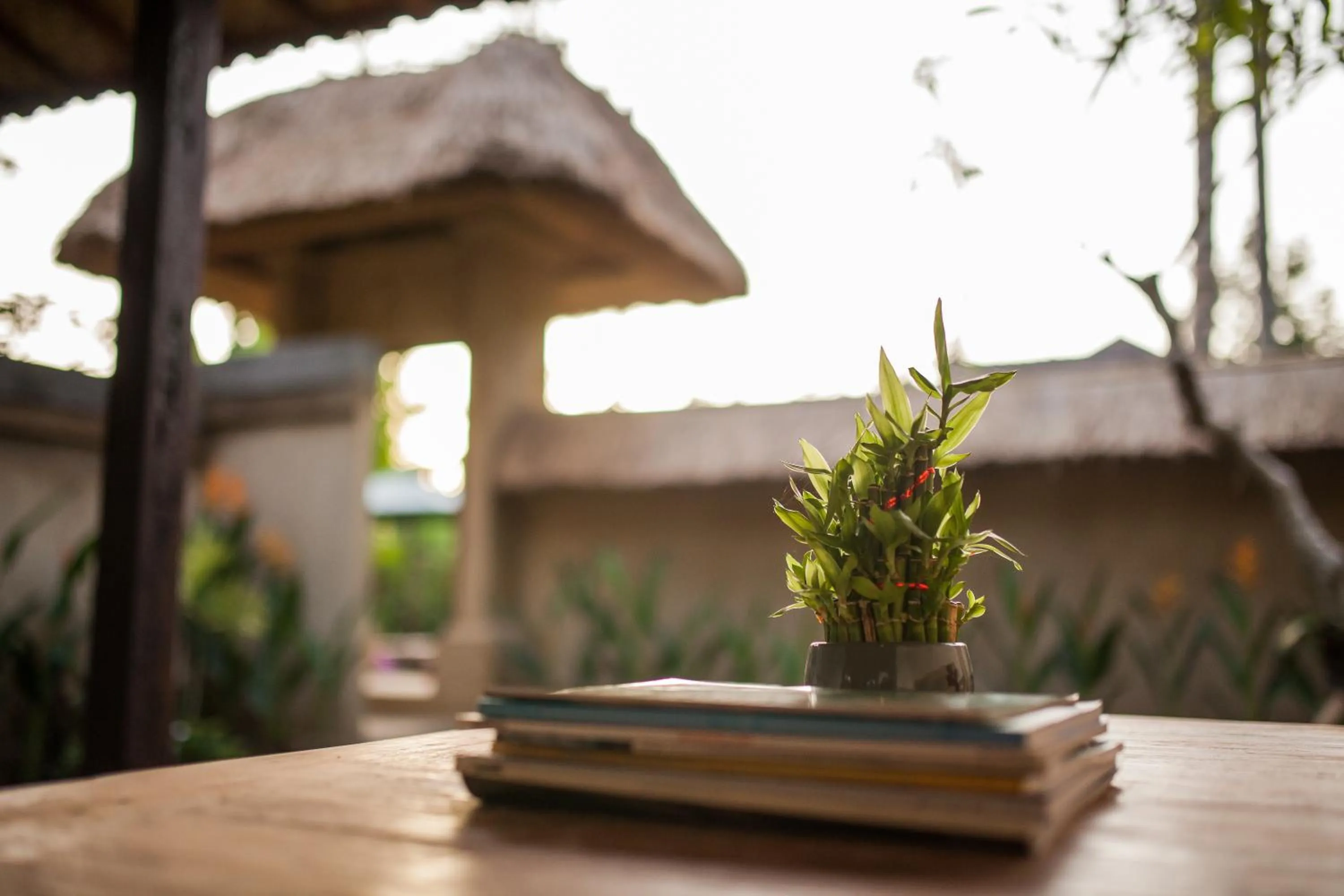 Patio in Abimana Ubud