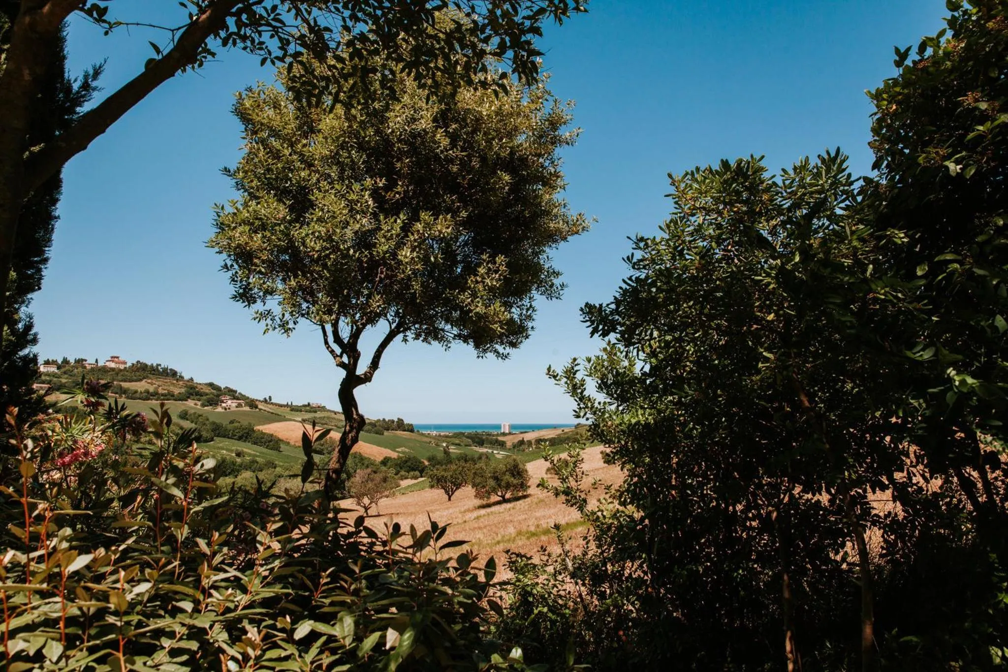 Natural landscape in Villa Collina Sul Mare - Teloni
