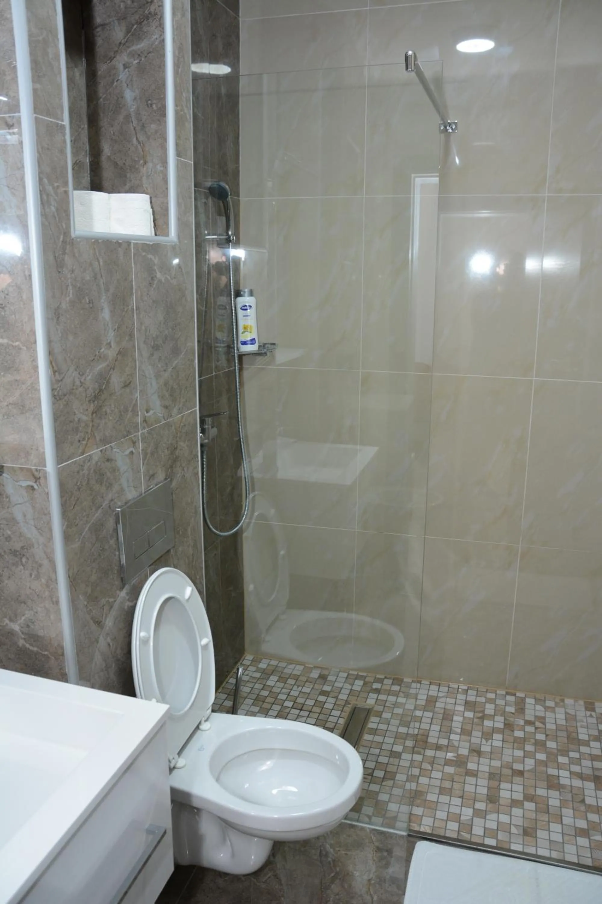 Toilet in Hotel Intergaj Bijeljina