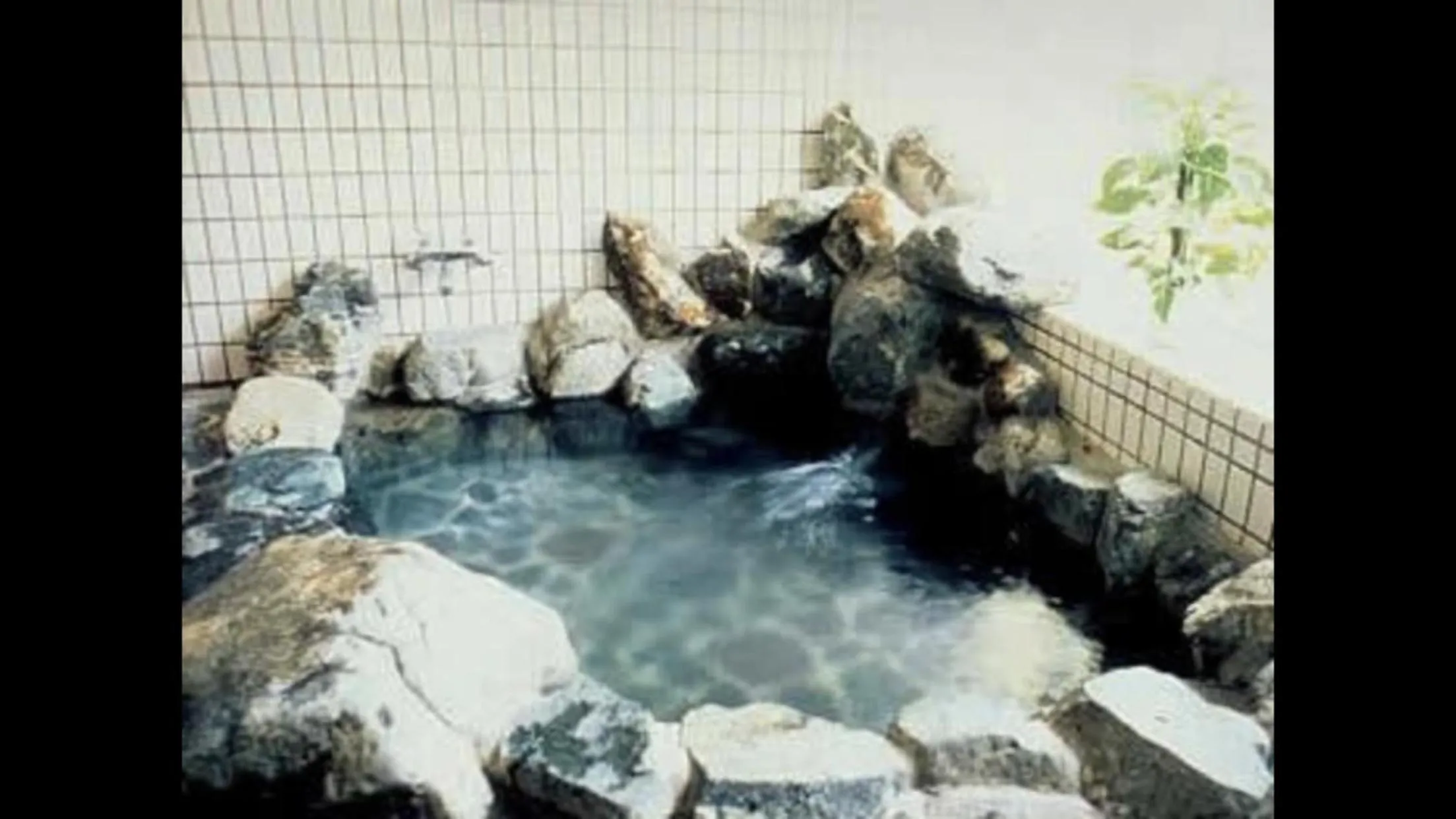 Public Bath in Shinkaifujishoen