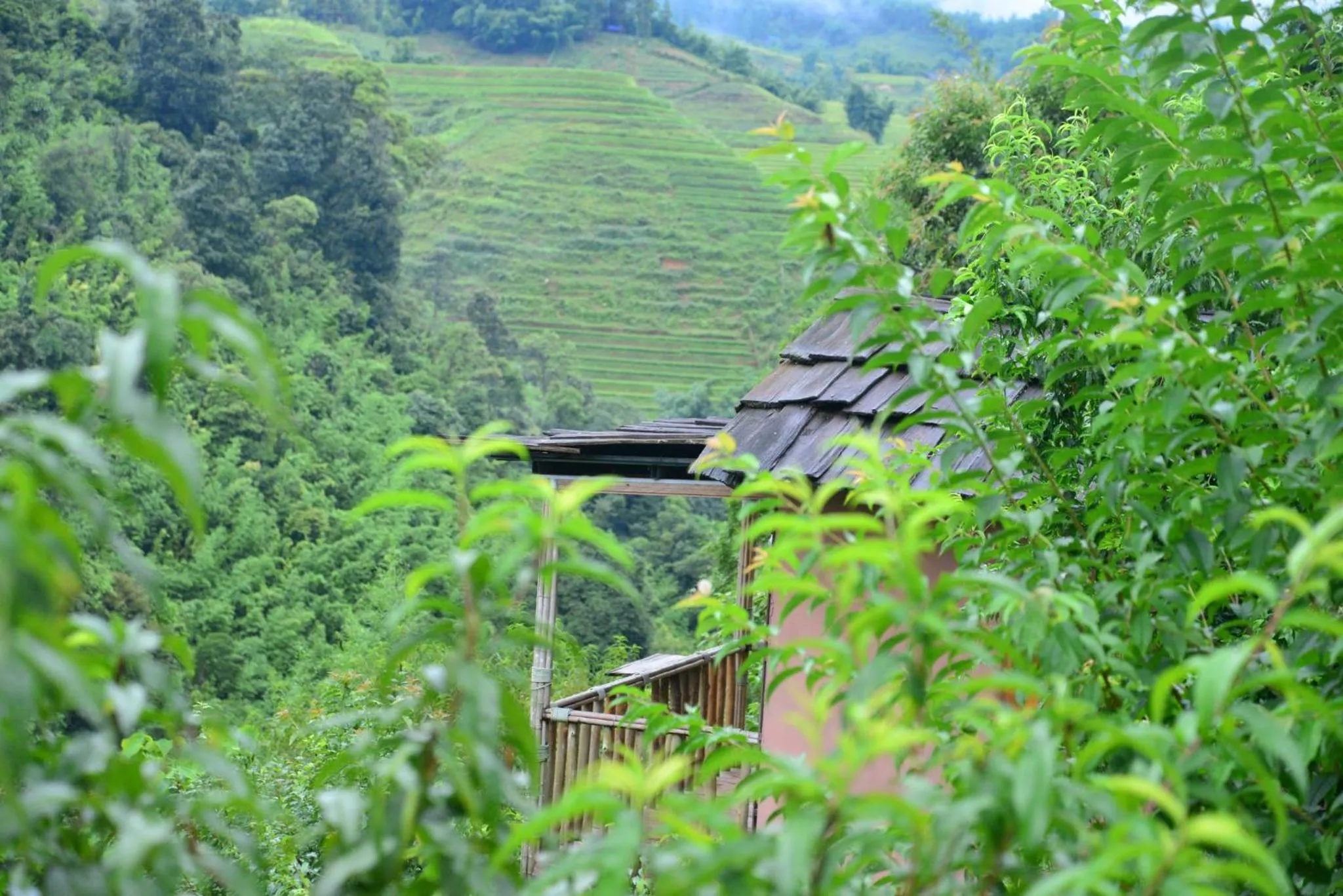 Chapa Farmstay - Mountain Retreat