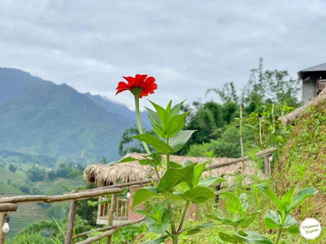 On site in Chapa Farmstay - Mountain Retreat