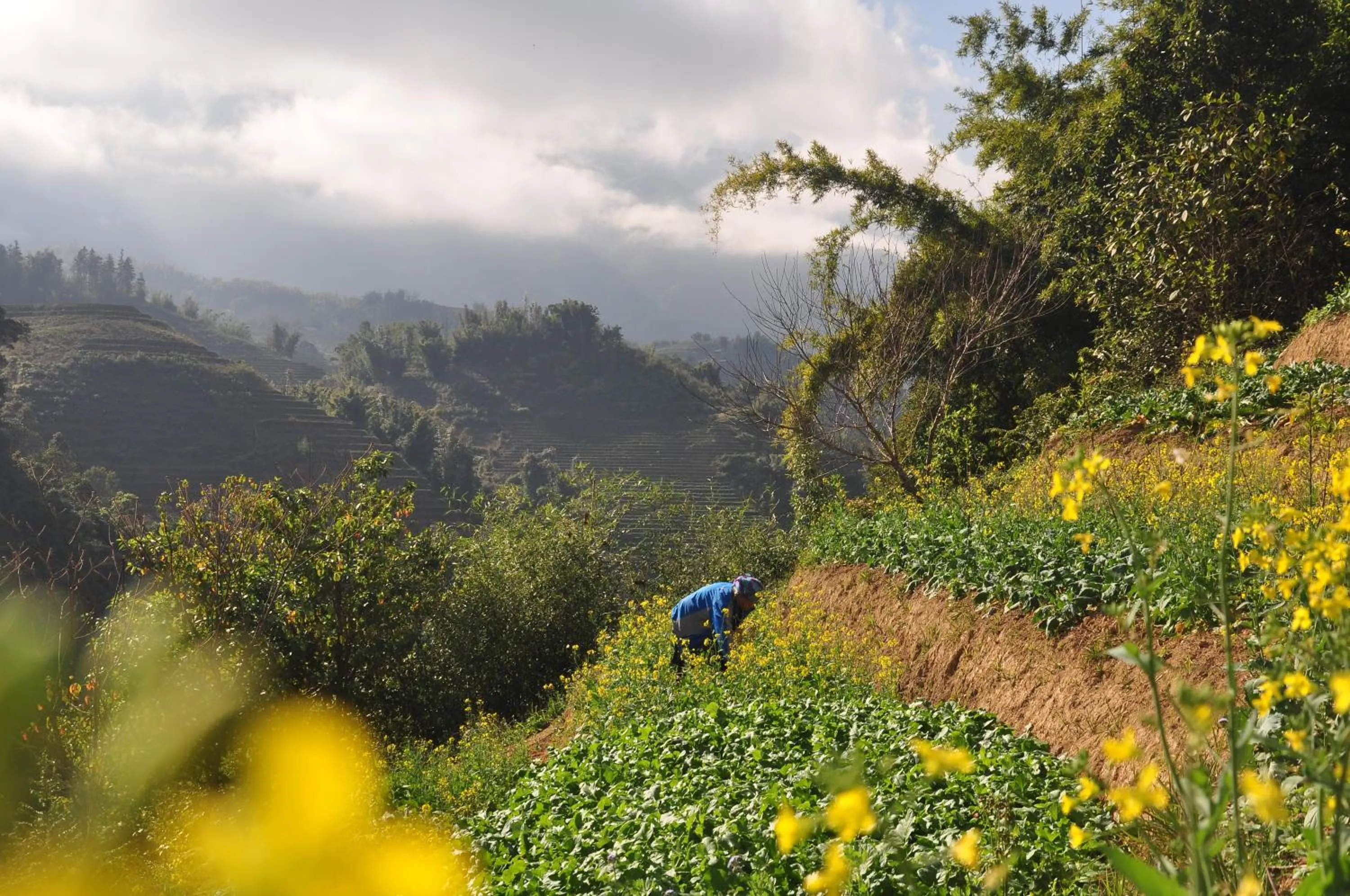Garden in Chapa Farmstay - Mountain Retreat