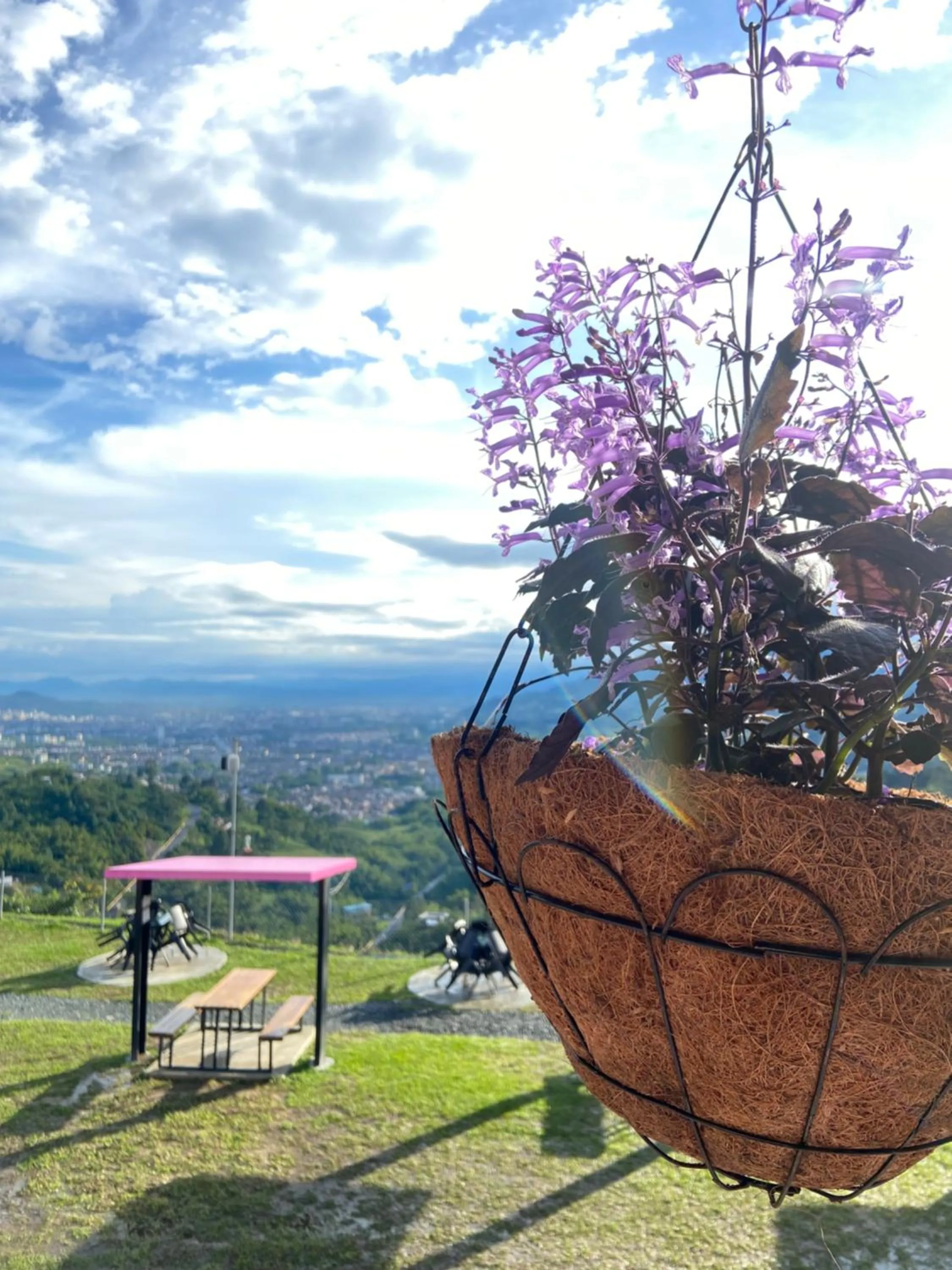 Spring in Hotel Entre Lomas