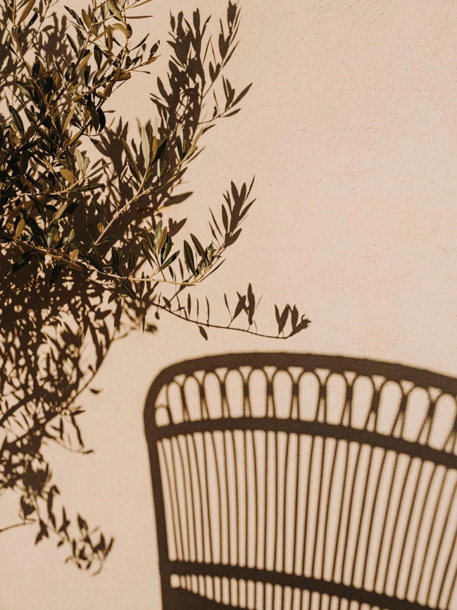 Decorative detail in Hotel Casa Luz