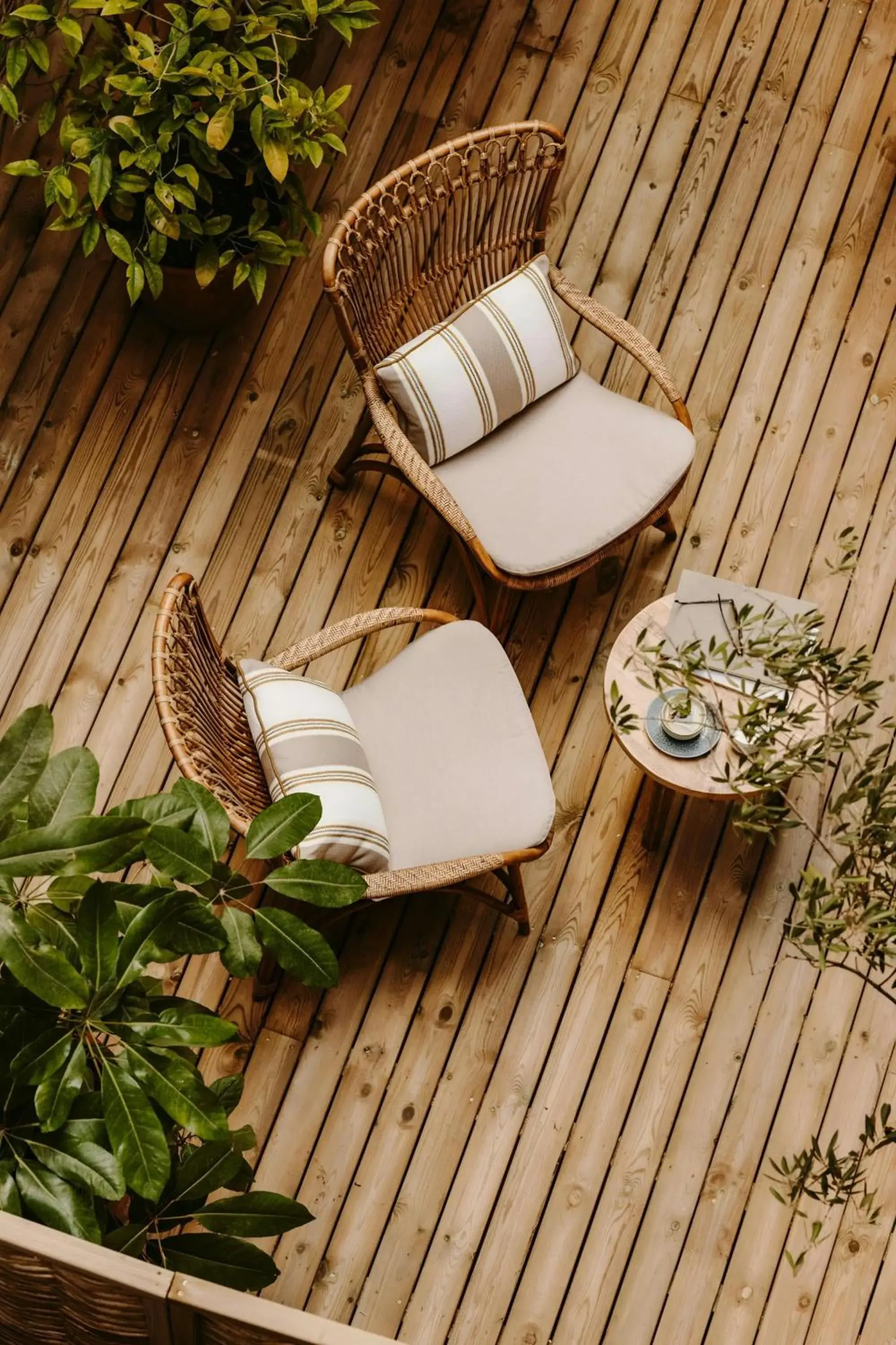 Twin Room with Terrace in Hotel Casa Luz Twin Room with Terrace in Hotel Casa Luz