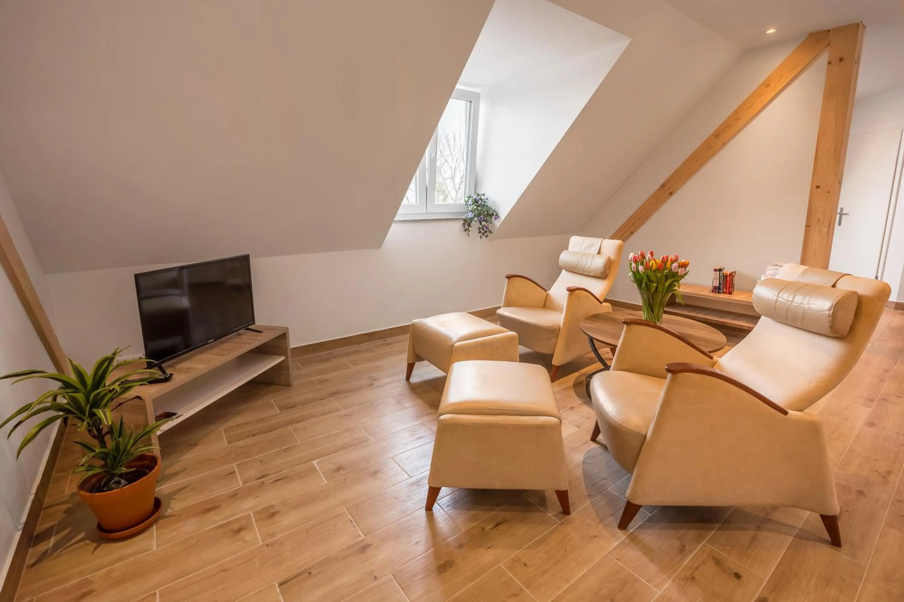 TV and multimedia in Hotel Ludwig