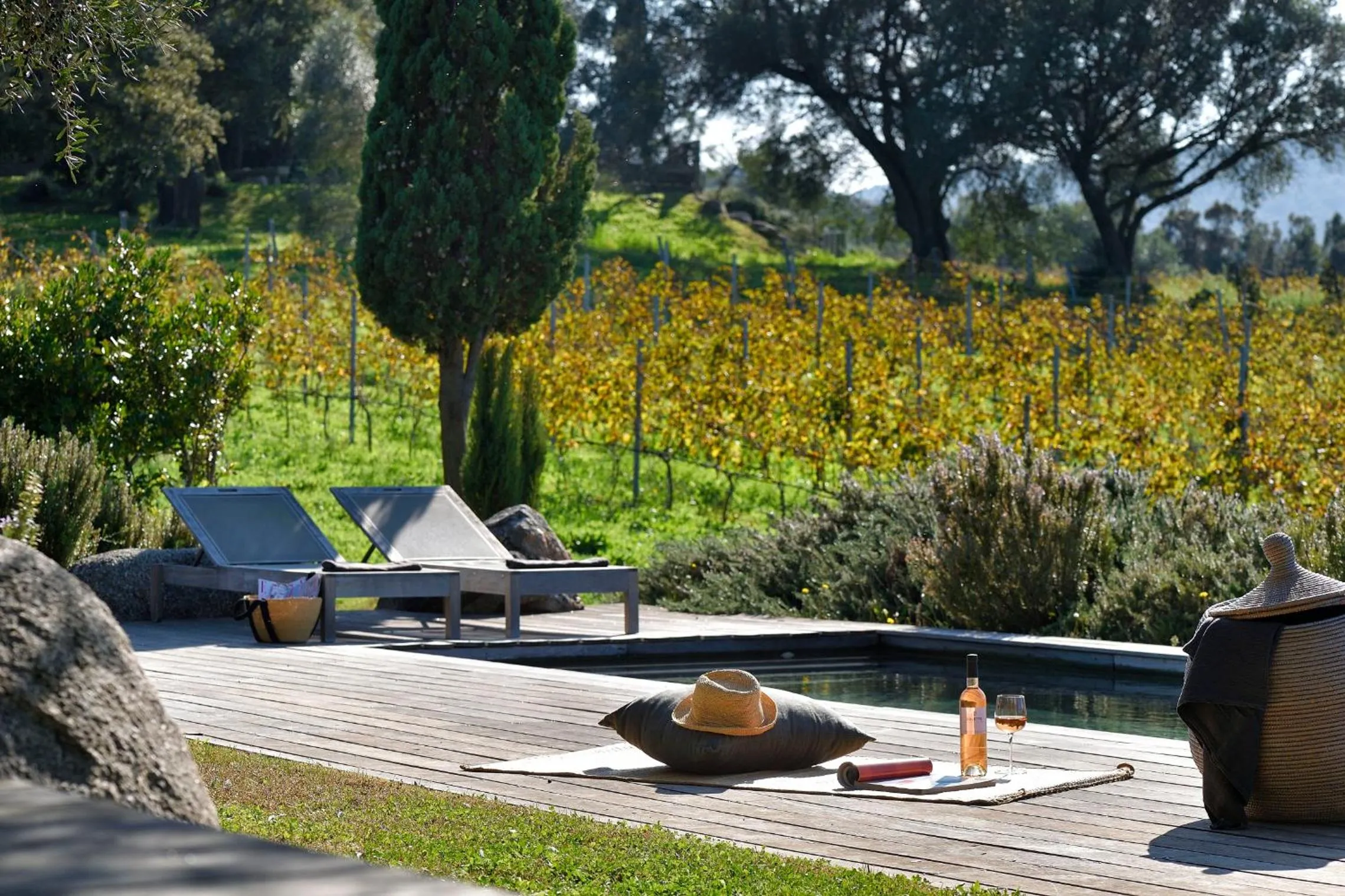 Swimming pool in Domaine de Peretti della Rocca