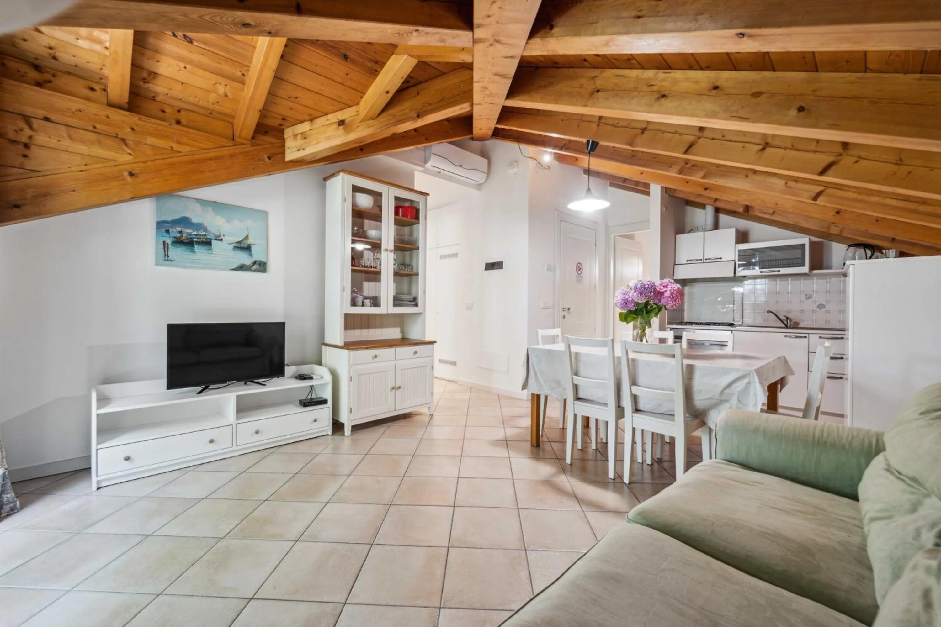 TV and multimedia in Green Village Accommodations