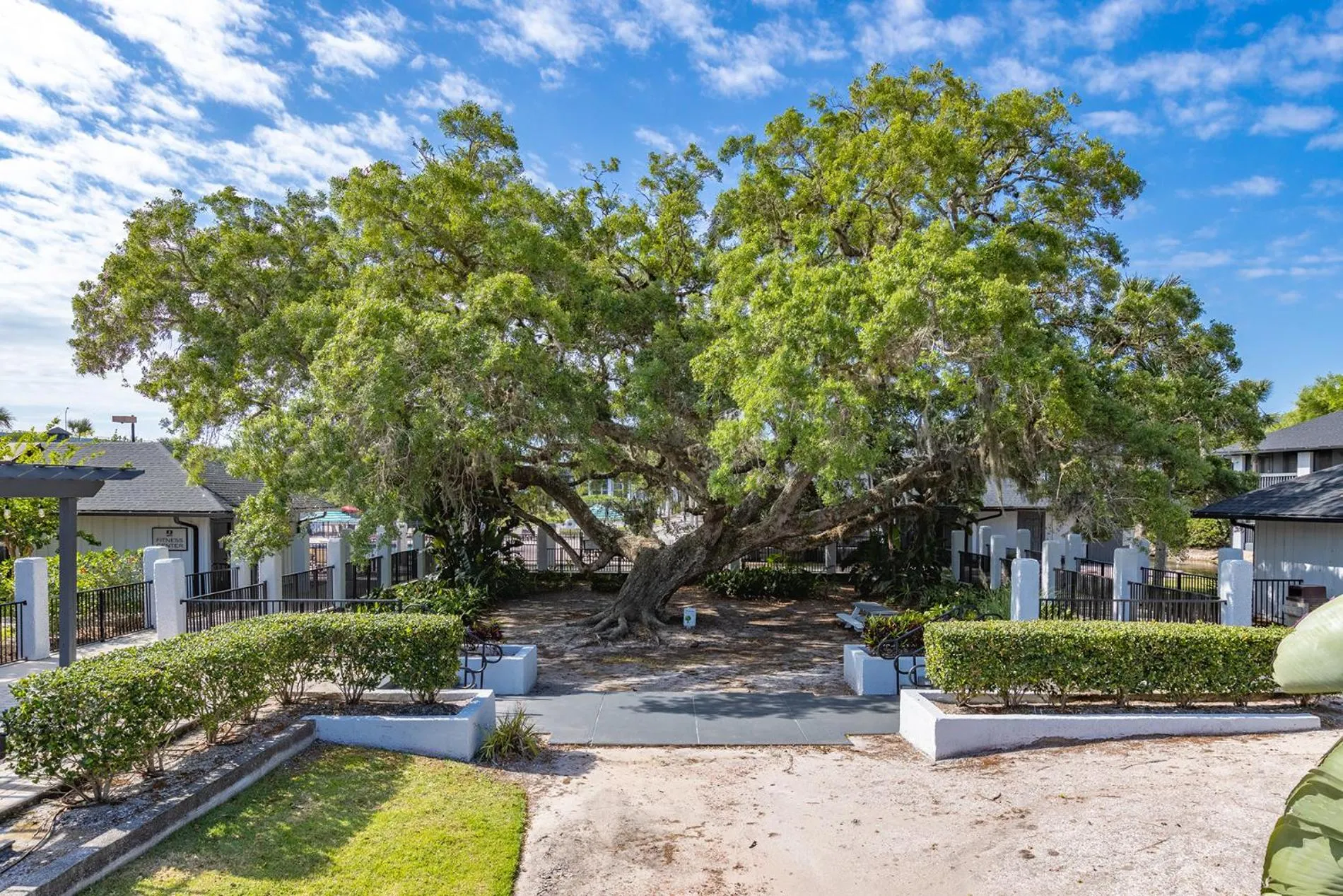 Natural landscape in Legacy Vacation Resorts - Palm Coast