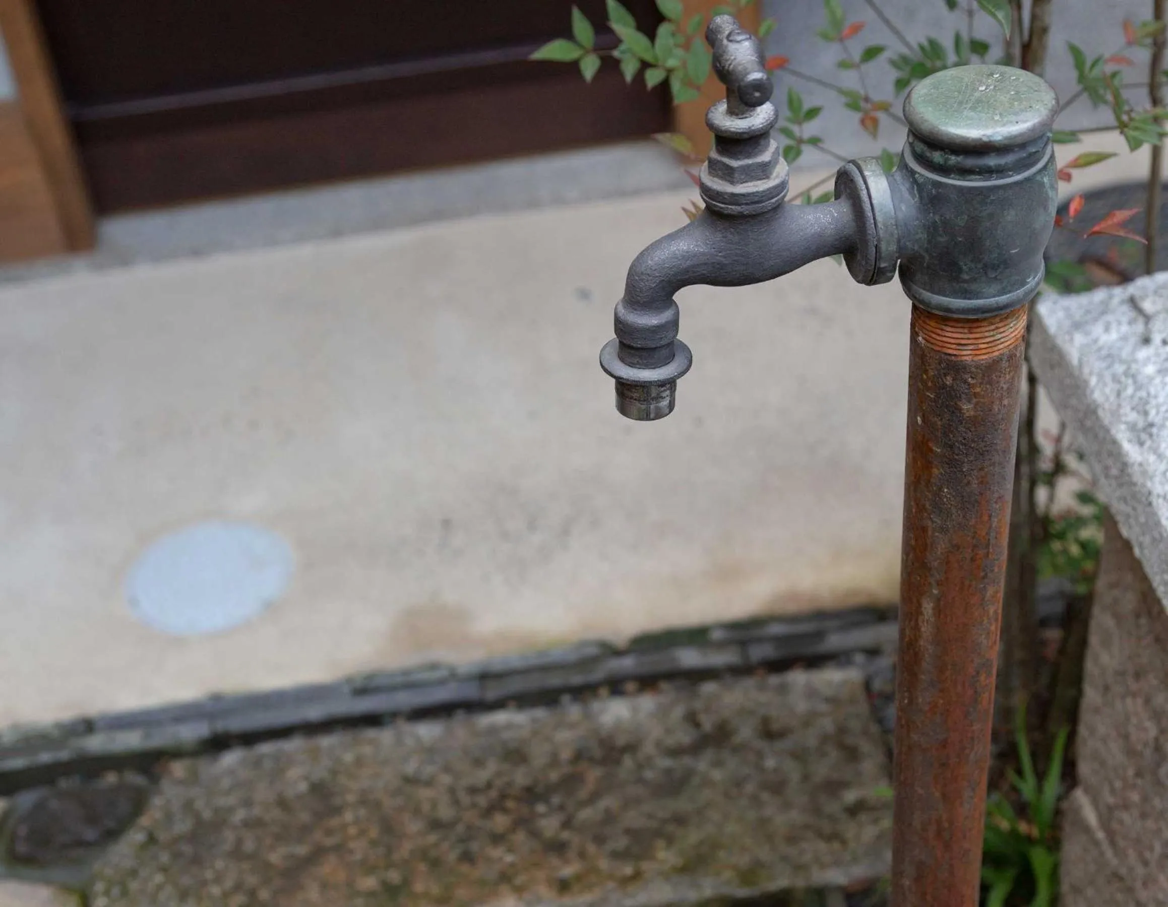 View (from property/room) in Kanade Matsubaragokomachi-Momijittei