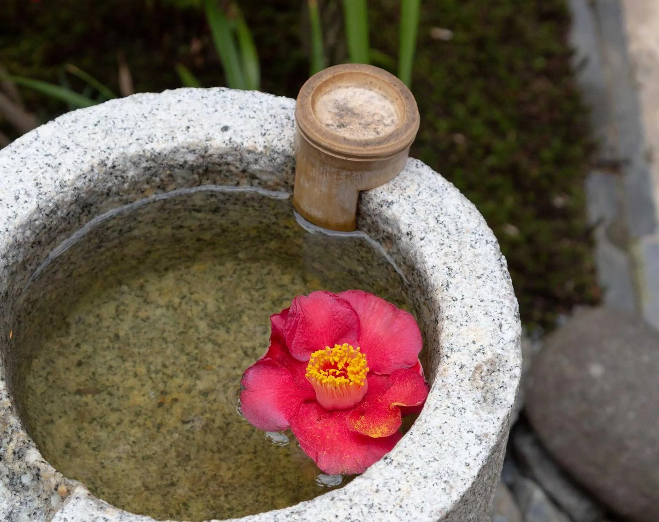 View (from property/room) in Kanade Matsubaragokomachi-Momijittei