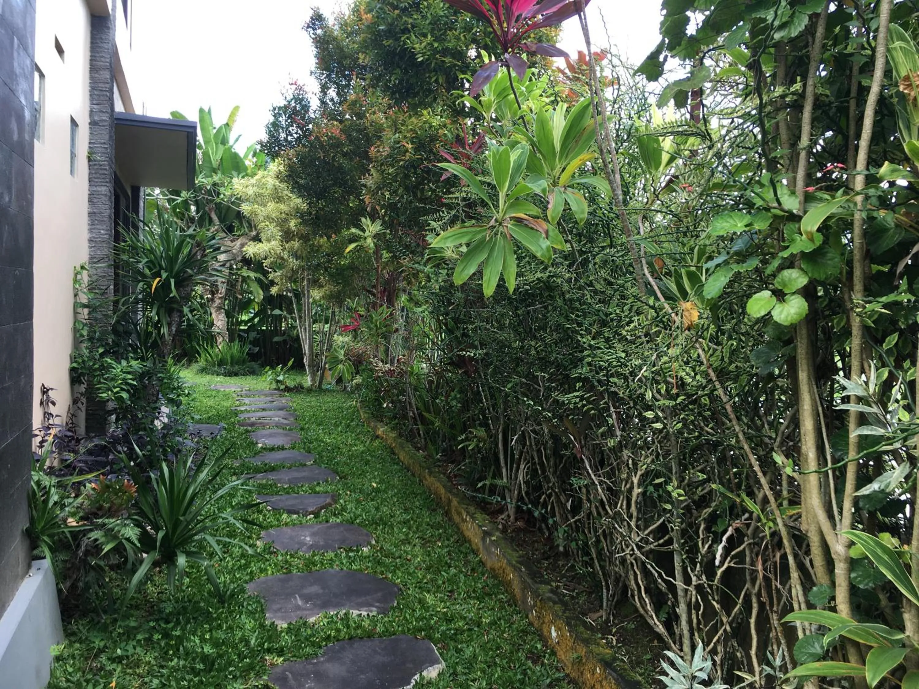 Garden in Widi Agung Villa