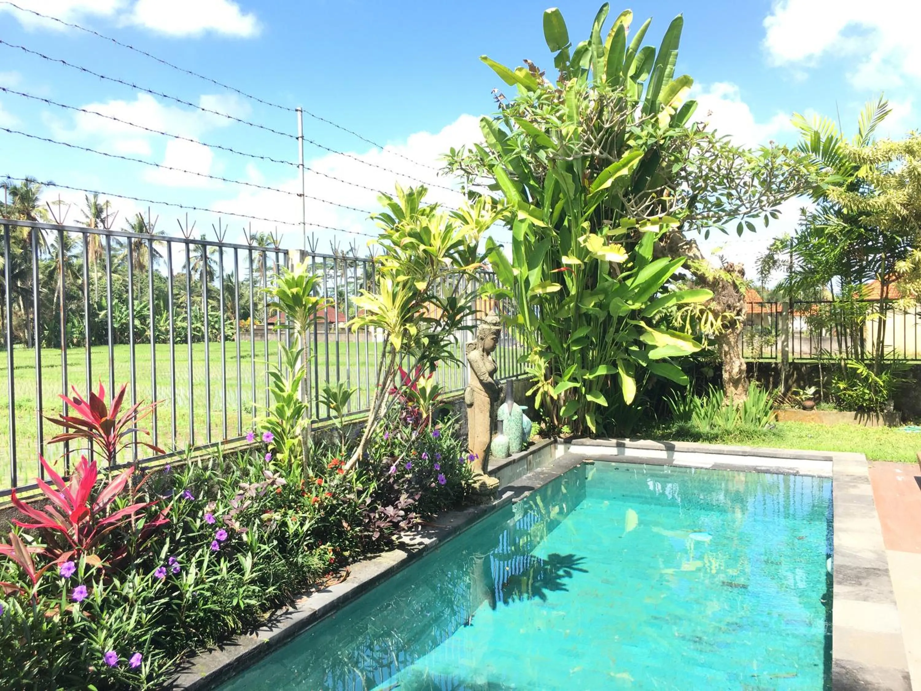 Garden in Widi Agung Villa