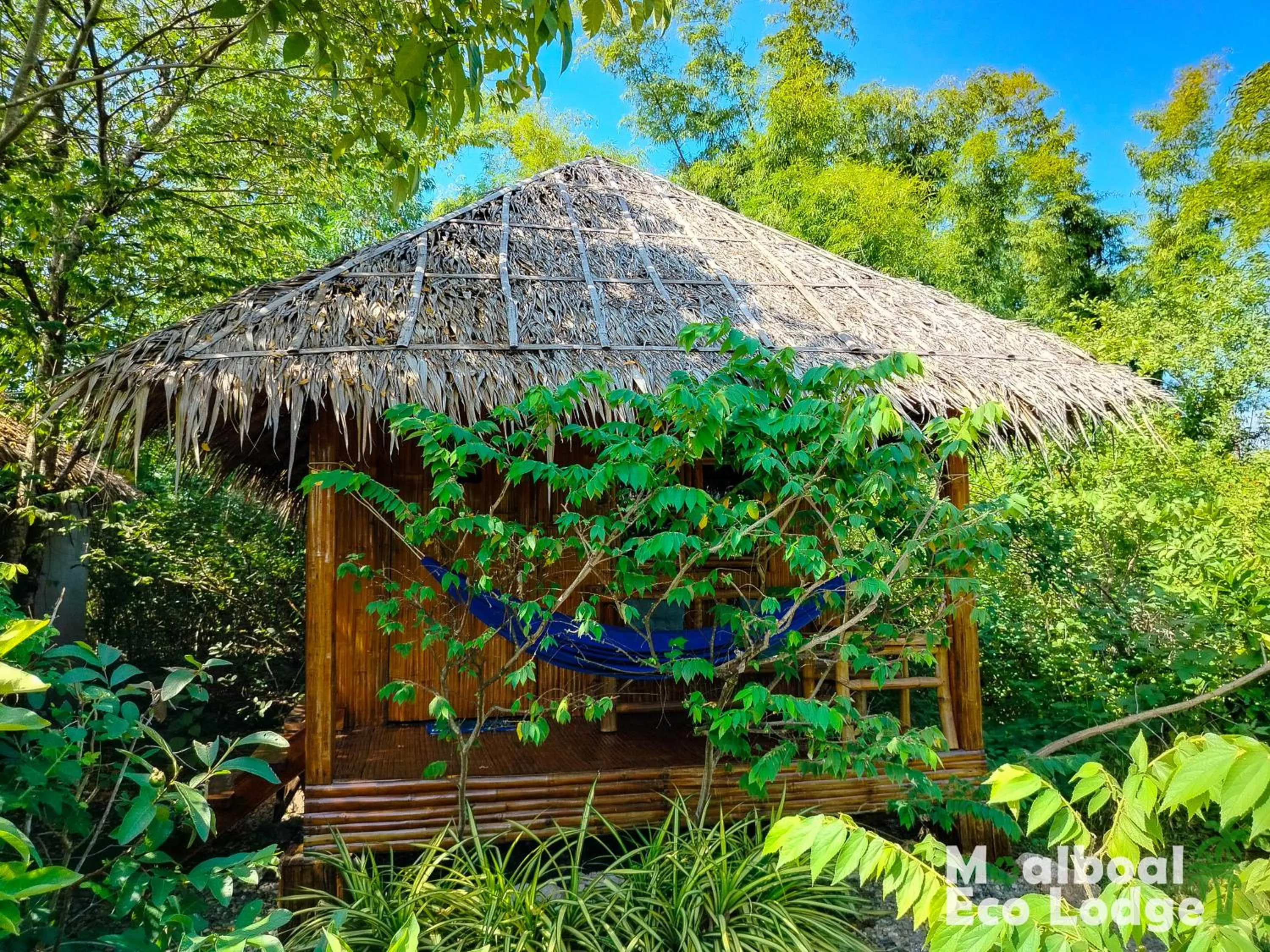 Garden in Moalboal Eco Lodge