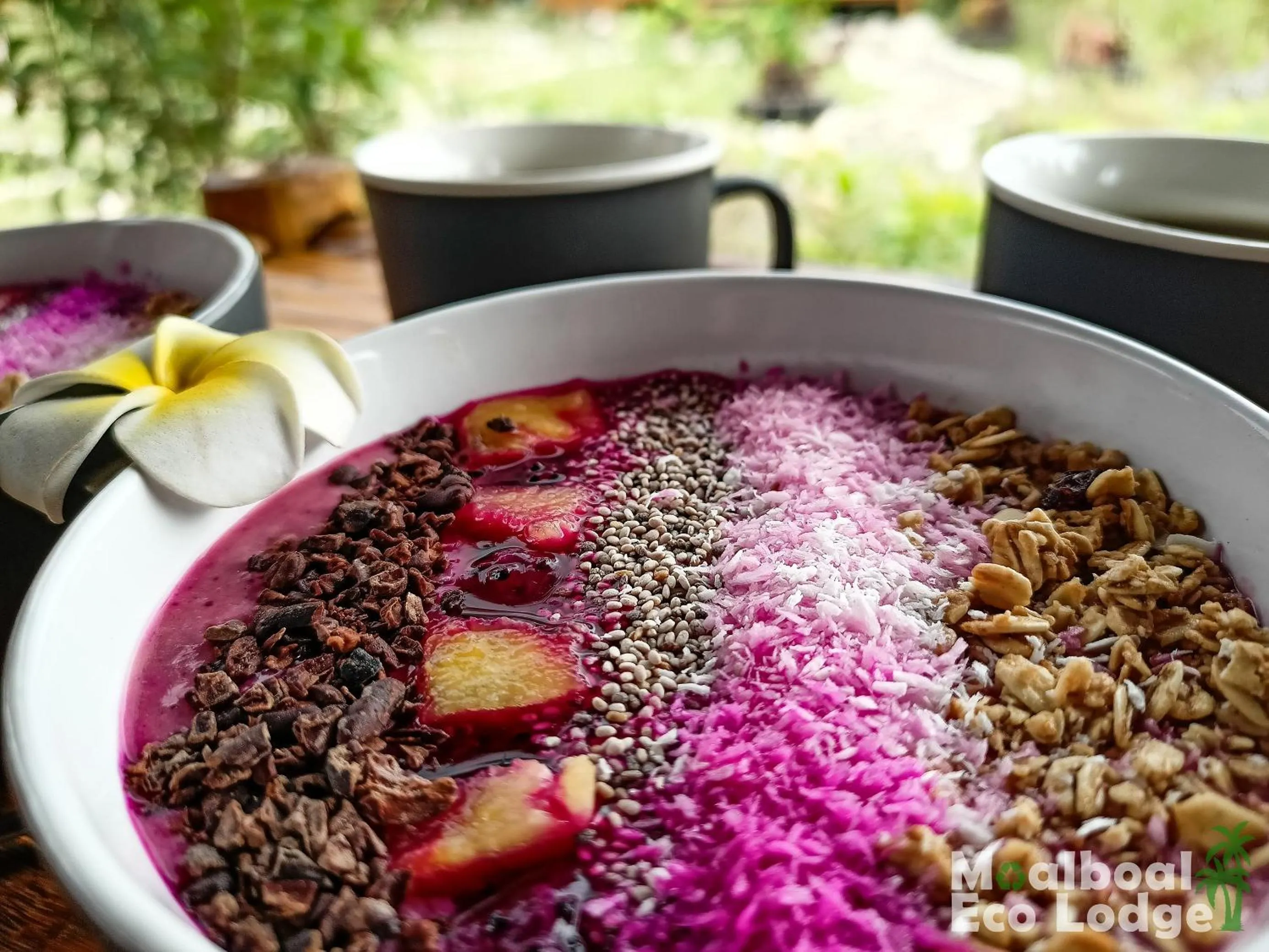 Food close-up in Moalboal Eco Lodge